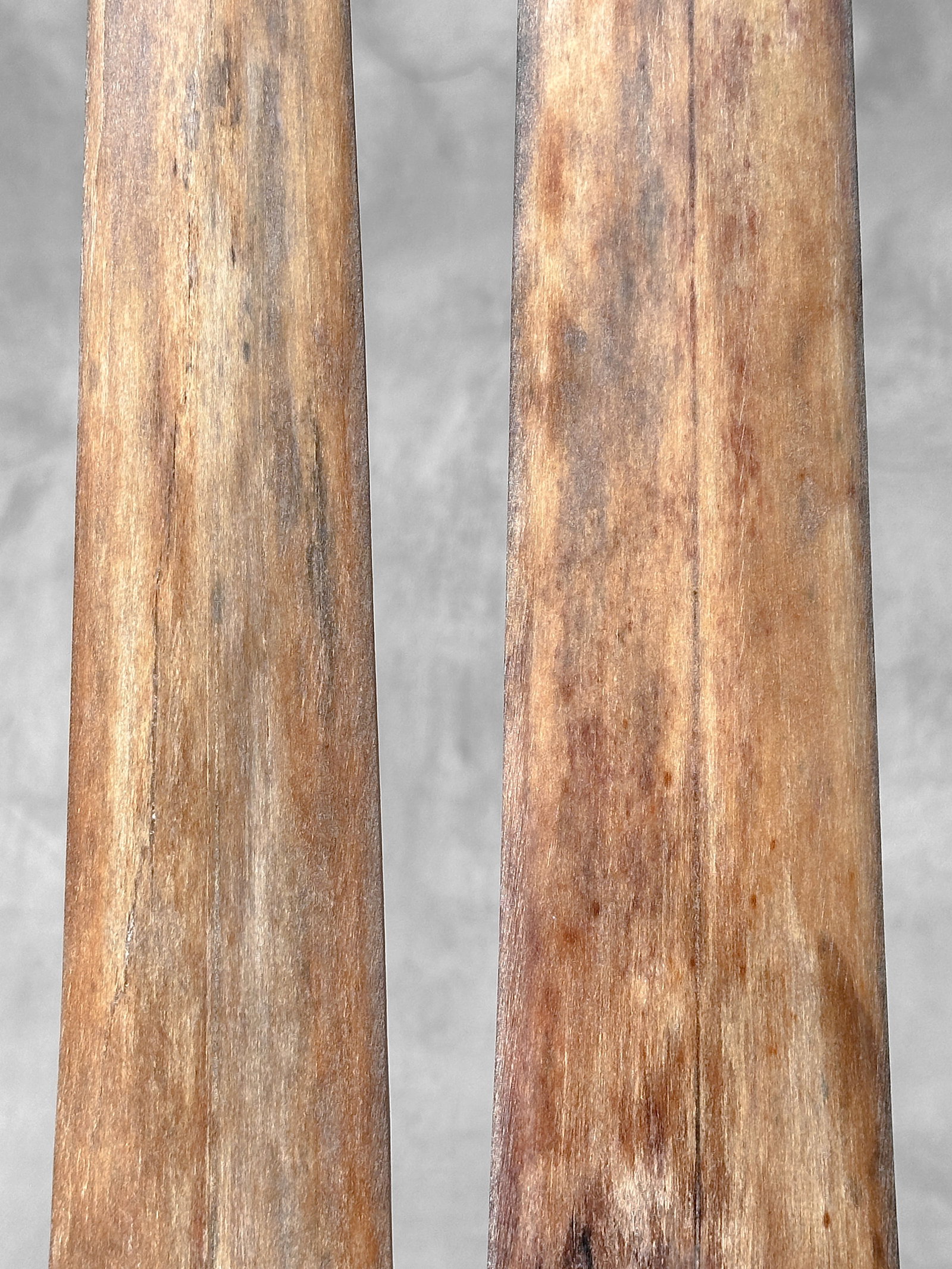 Pair of swordfish tusks with custom stands - 5