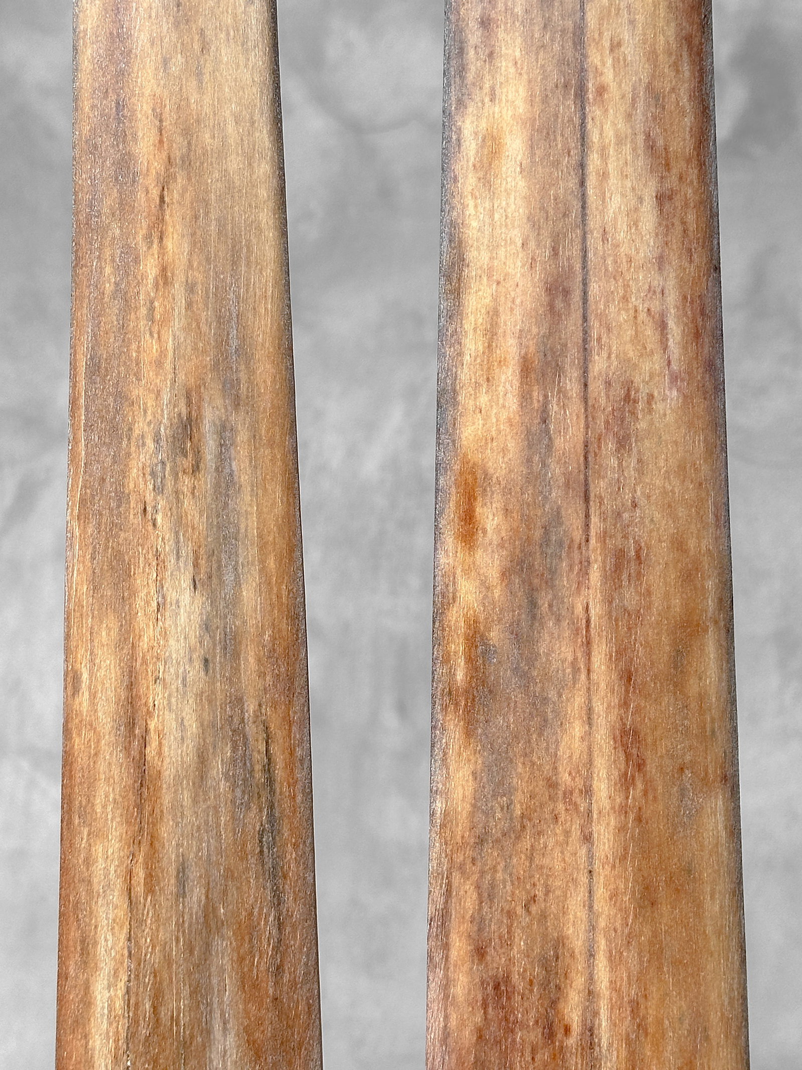 Pair of swordfish tusks with custom stands - 6