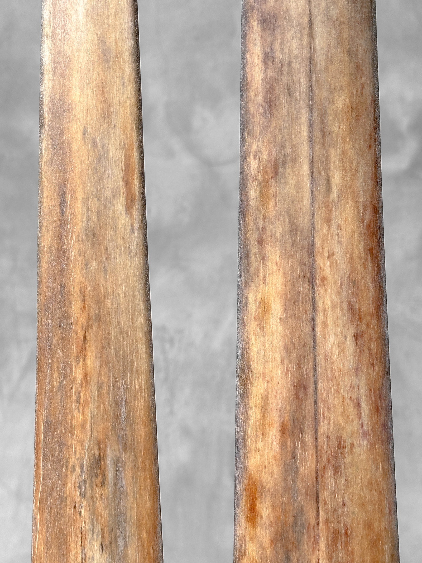 Pair of swordfish tusks with custom stands - 7
