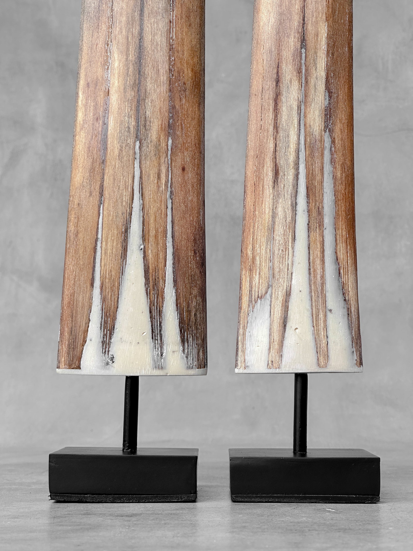 Pair of swordfish tusks with custom stands - 9