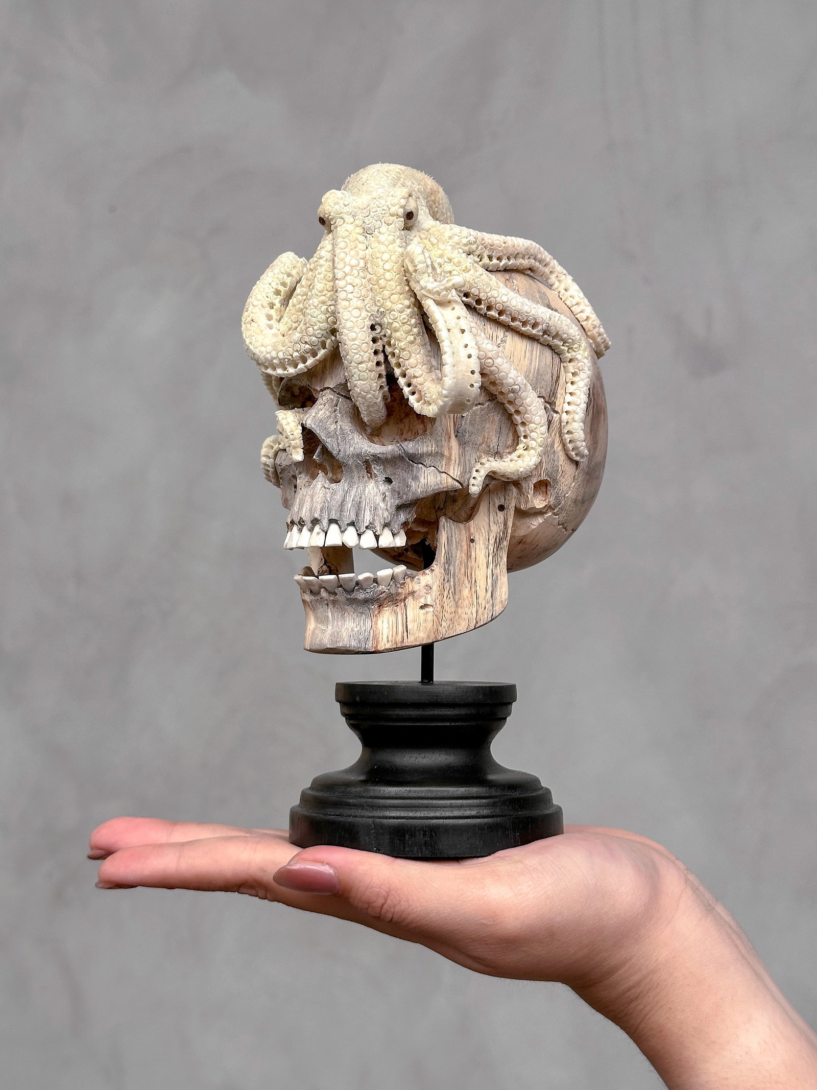 Carved human skull with a stunning carved octopus - 10