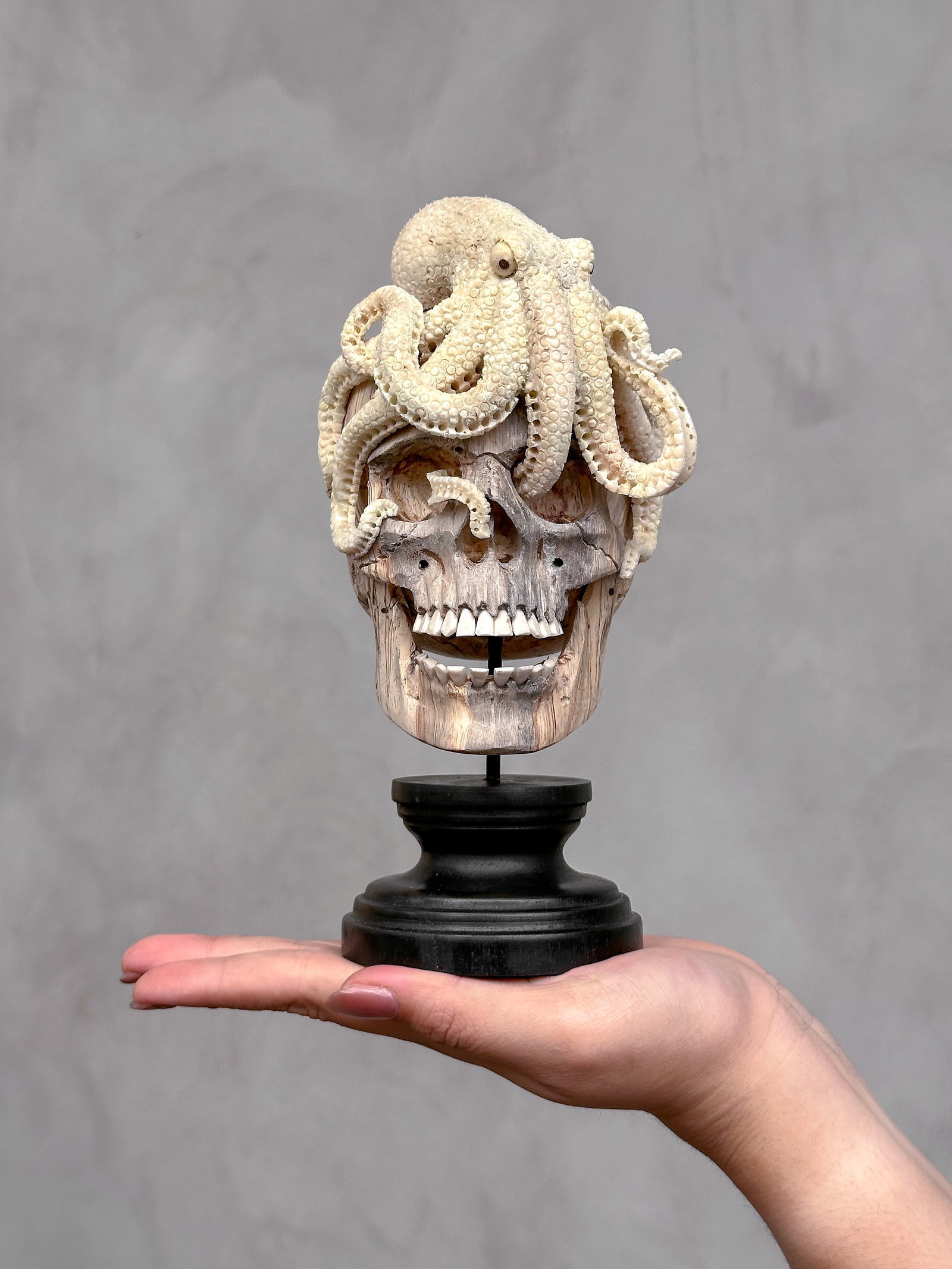 Carved human skull with a stunning carved octopus (1 of 10)