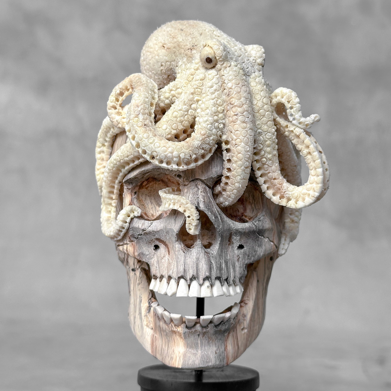 Carved human skull with a stunning carved octopus - 4