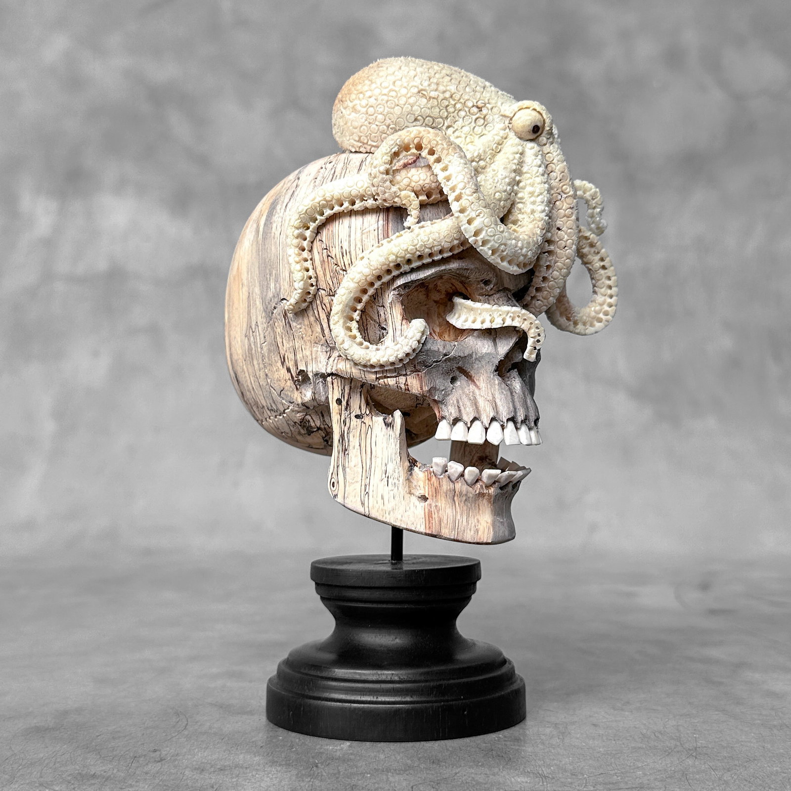 Carved human skull with a stunning carved octopus - 5