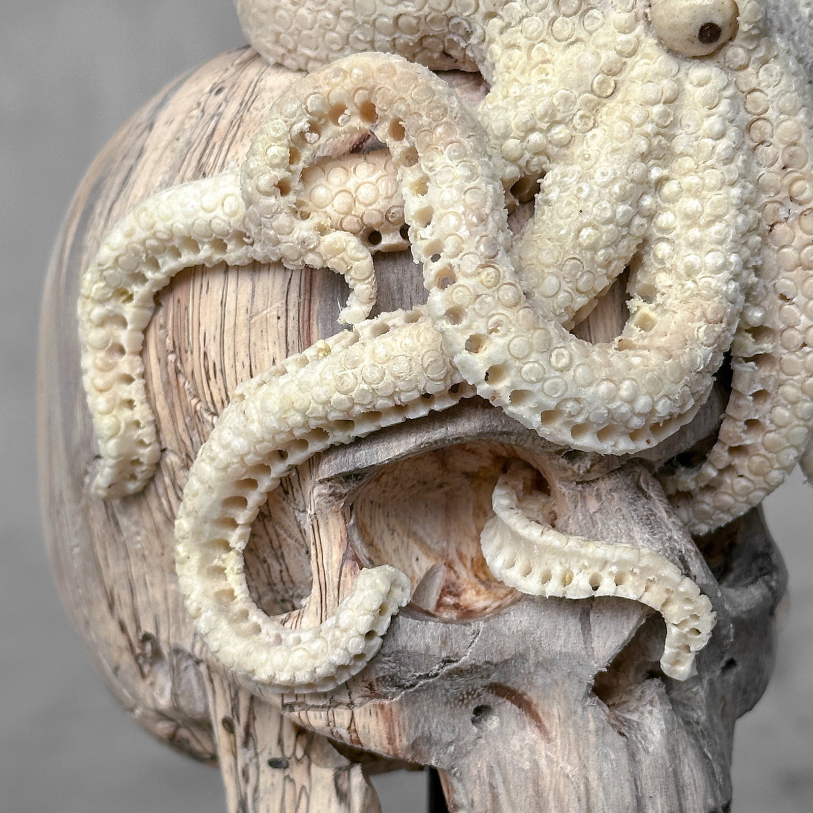 Carved human skull with a stunning carved octopus - 7