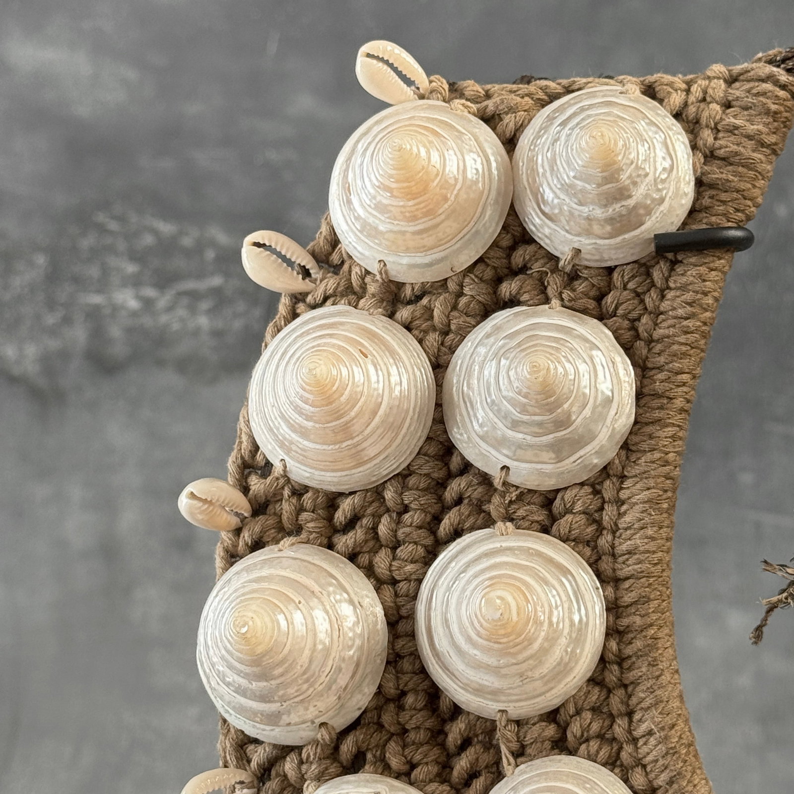 Decorative shell necklace on a custom stand - 4