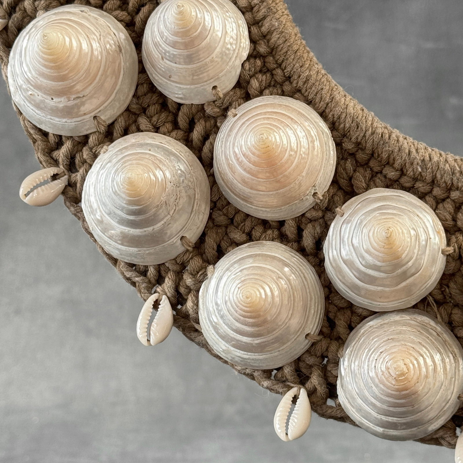 Decorative shell necklace on a custom stand - 5