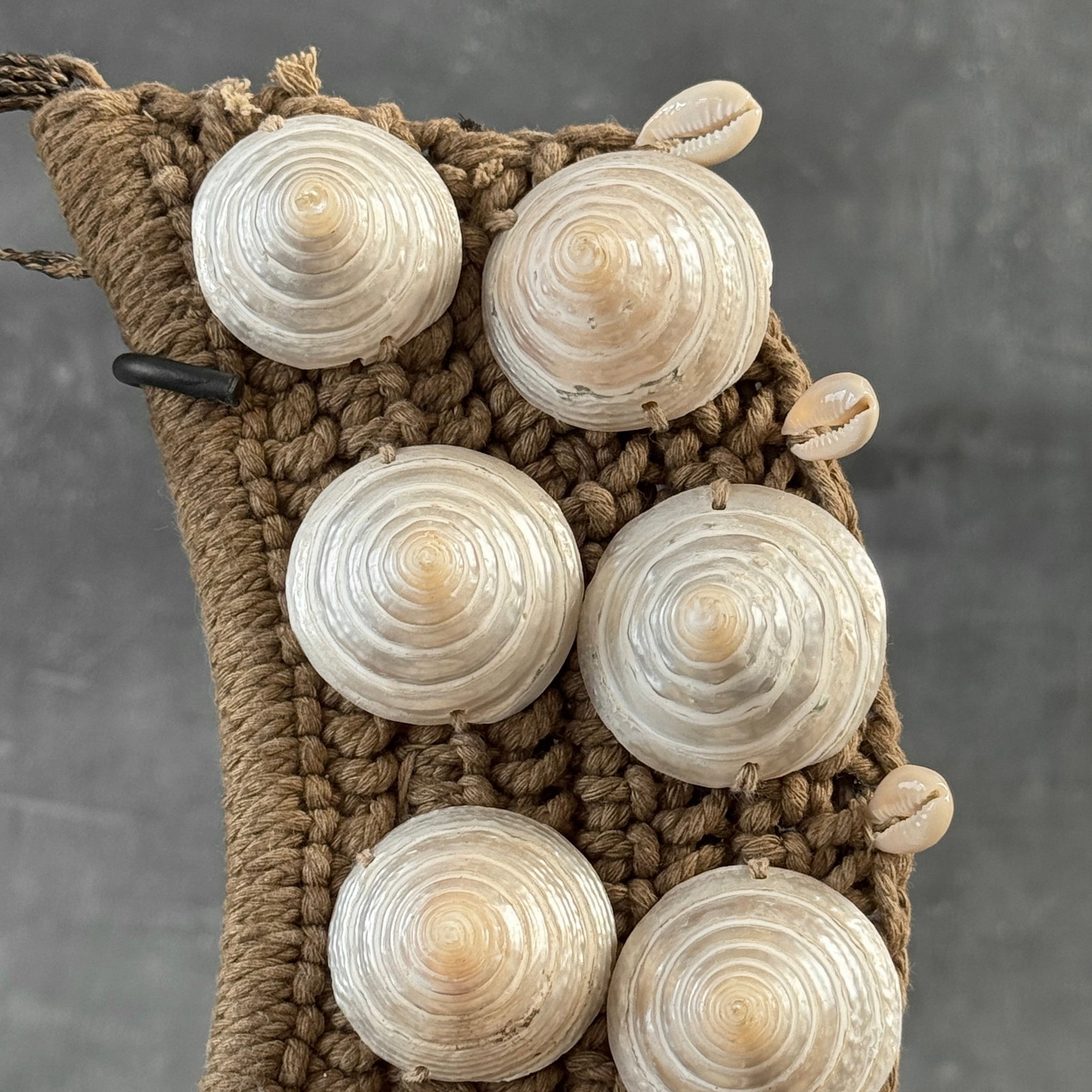 Decorative shell necklace on a custom stand - 8