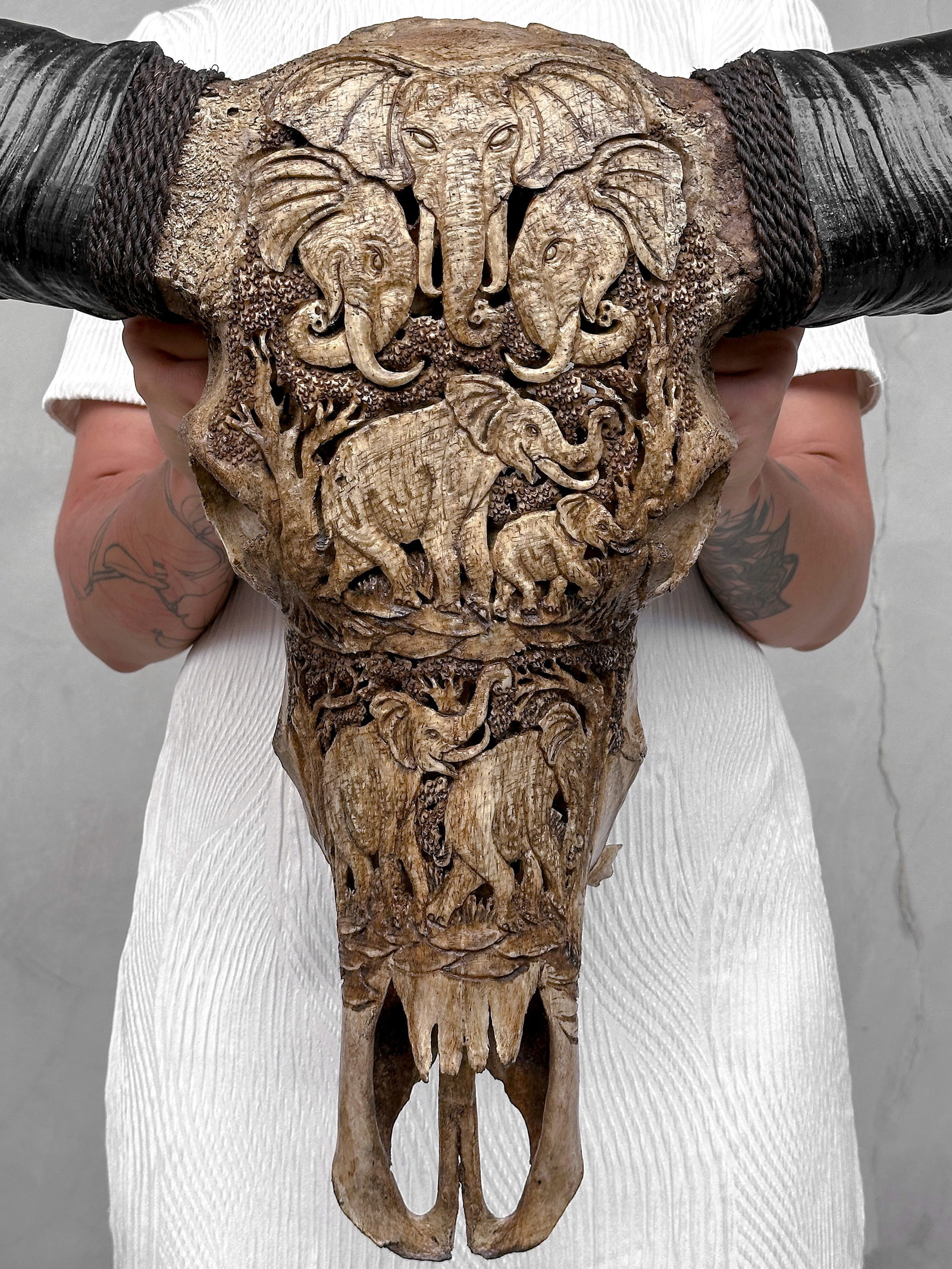 Water buffalo skull - Elephants motif - 10