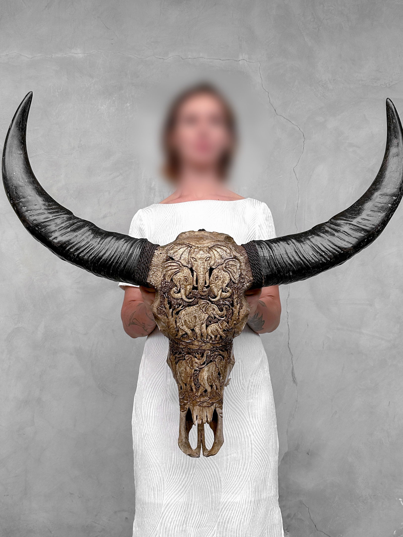 Water buffalo skull - Elephants motif: Title: Water buffalo skull - Elephants motif Maker:Unknown Origin: Indonesia Date/Period:2026 Materials:Bubalus bubalis, Bone, Horn Dimensions:Height: 79 cm / 31.1 inches Width: 88 cm / 34.6 inches