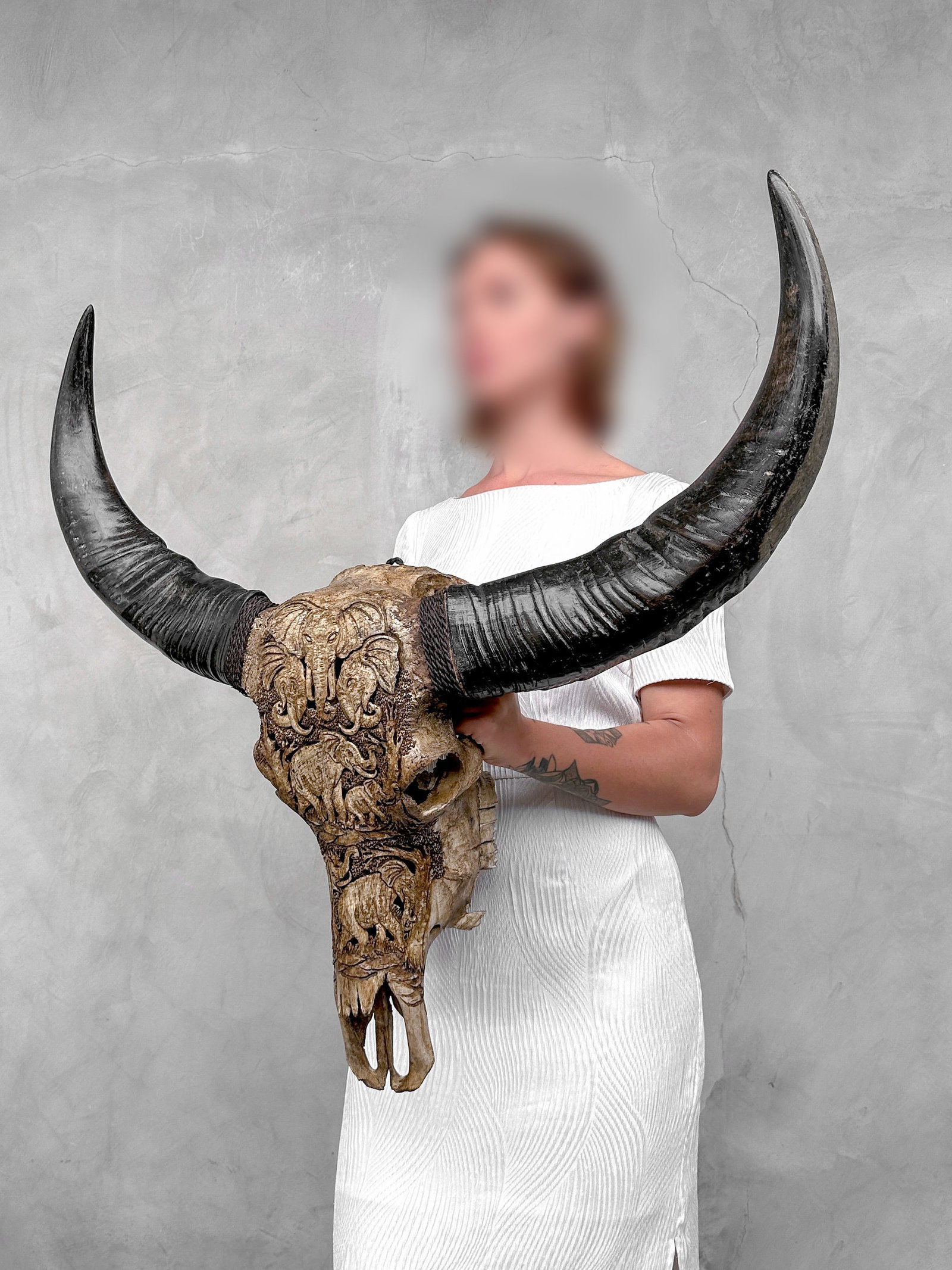 Water buffalo skull - Elephants motif - 2