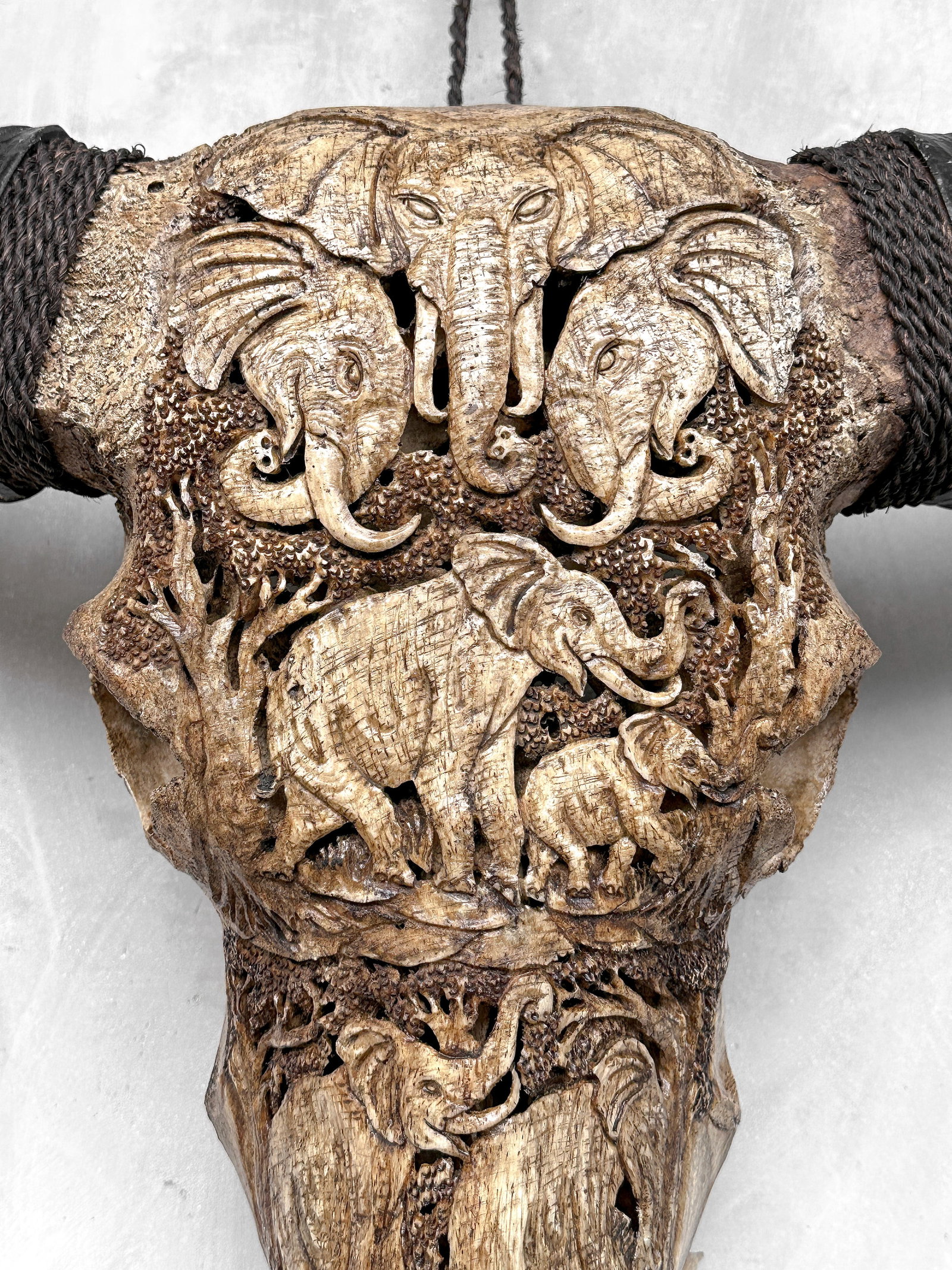 Water buffalo skull - Elephants motif - 3