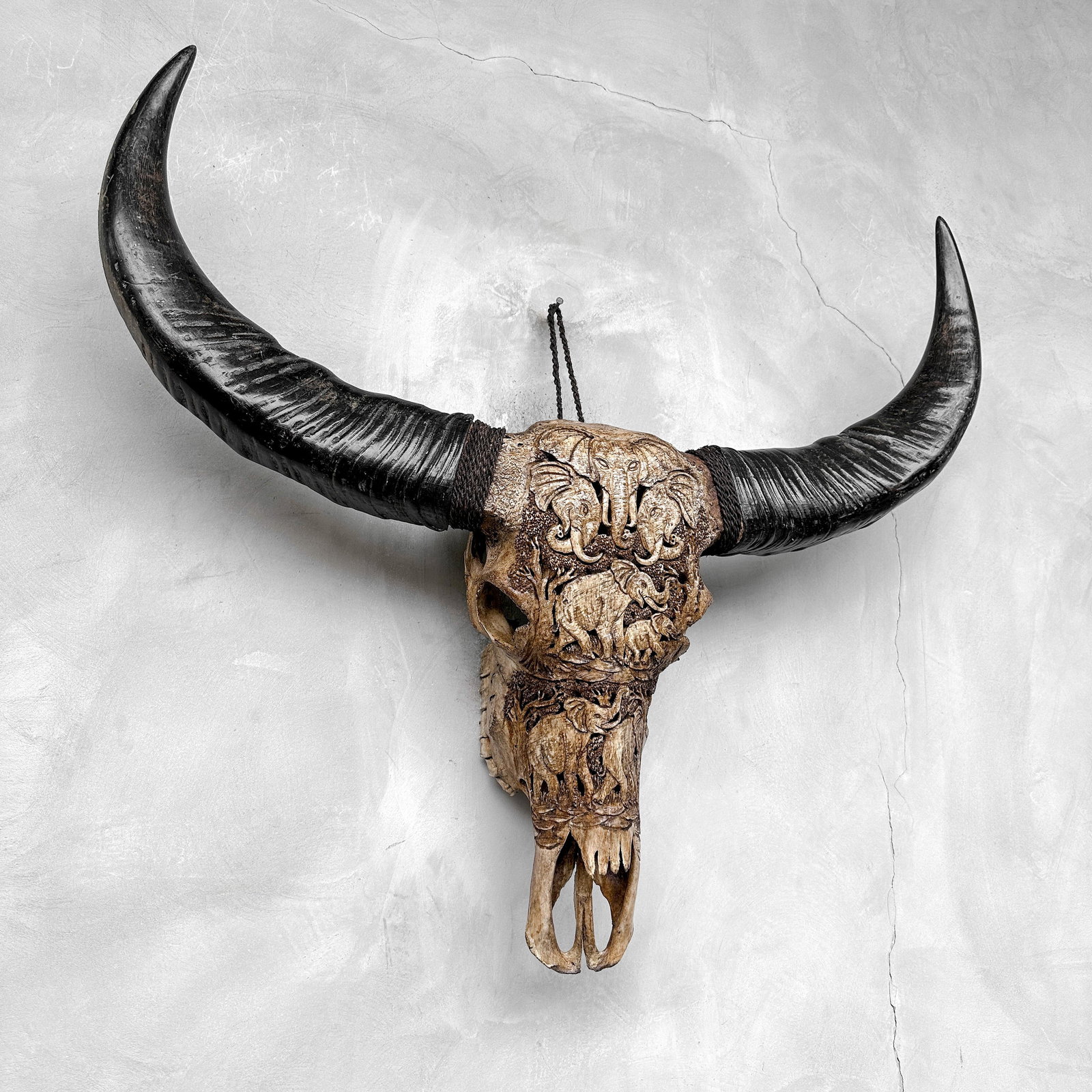 Water buffalo skull - Elephants motif - 5