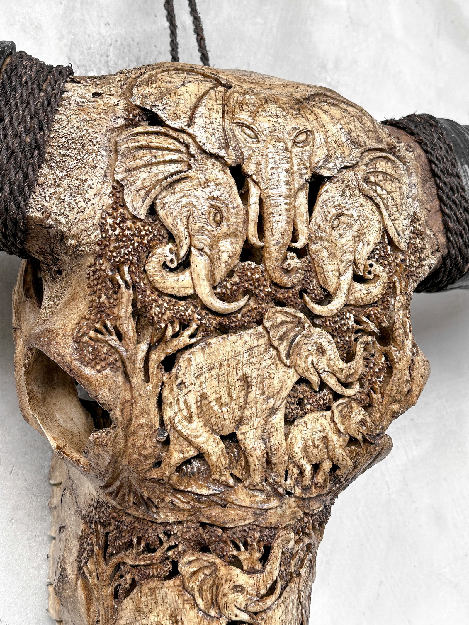 Water buffalo skull - Elephants motif - 6
