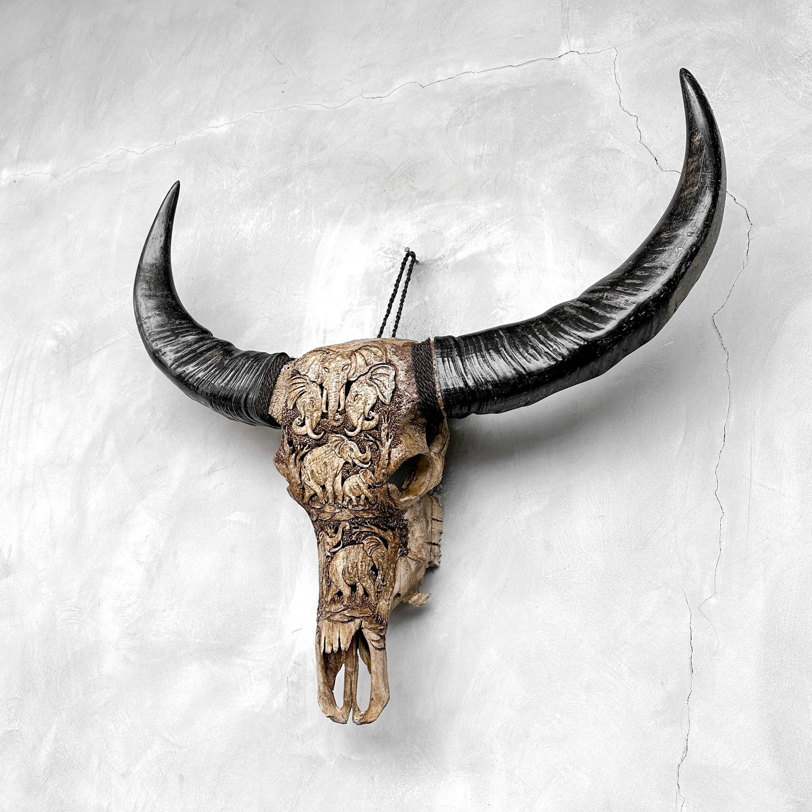 Water buffalo skull - Elephants motif - 7