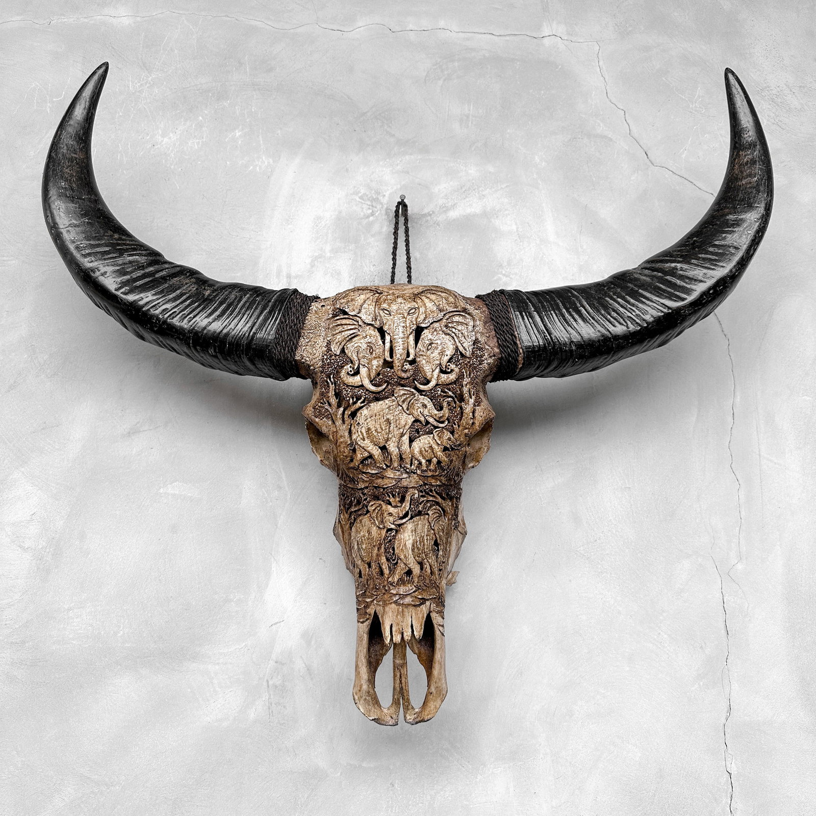 Water buffalo skull - Elephants motif - 9