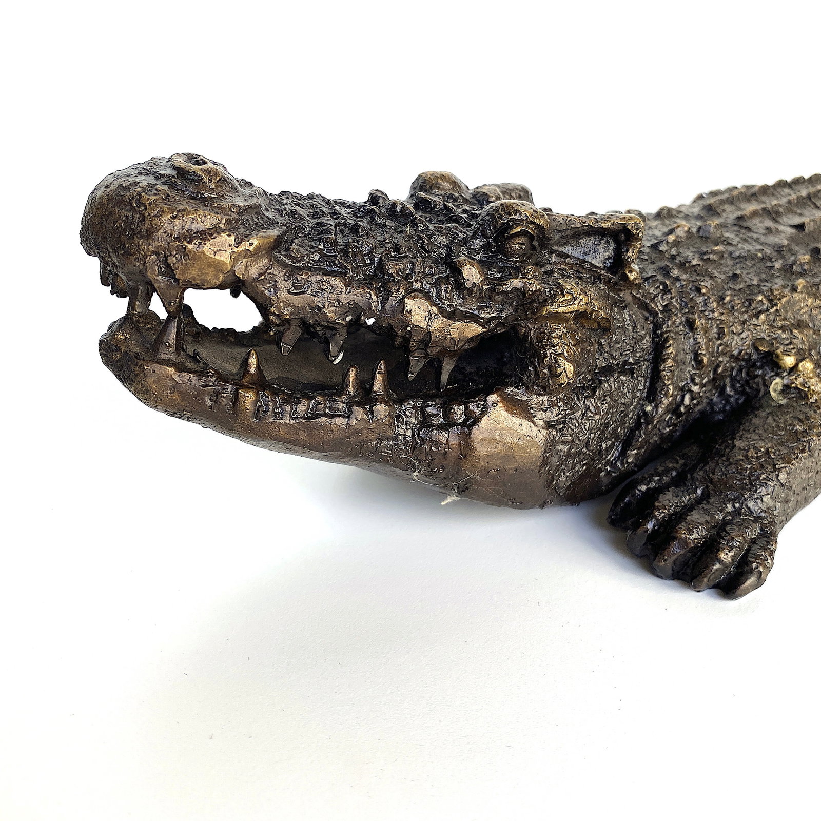 Bronze Aligator - 5