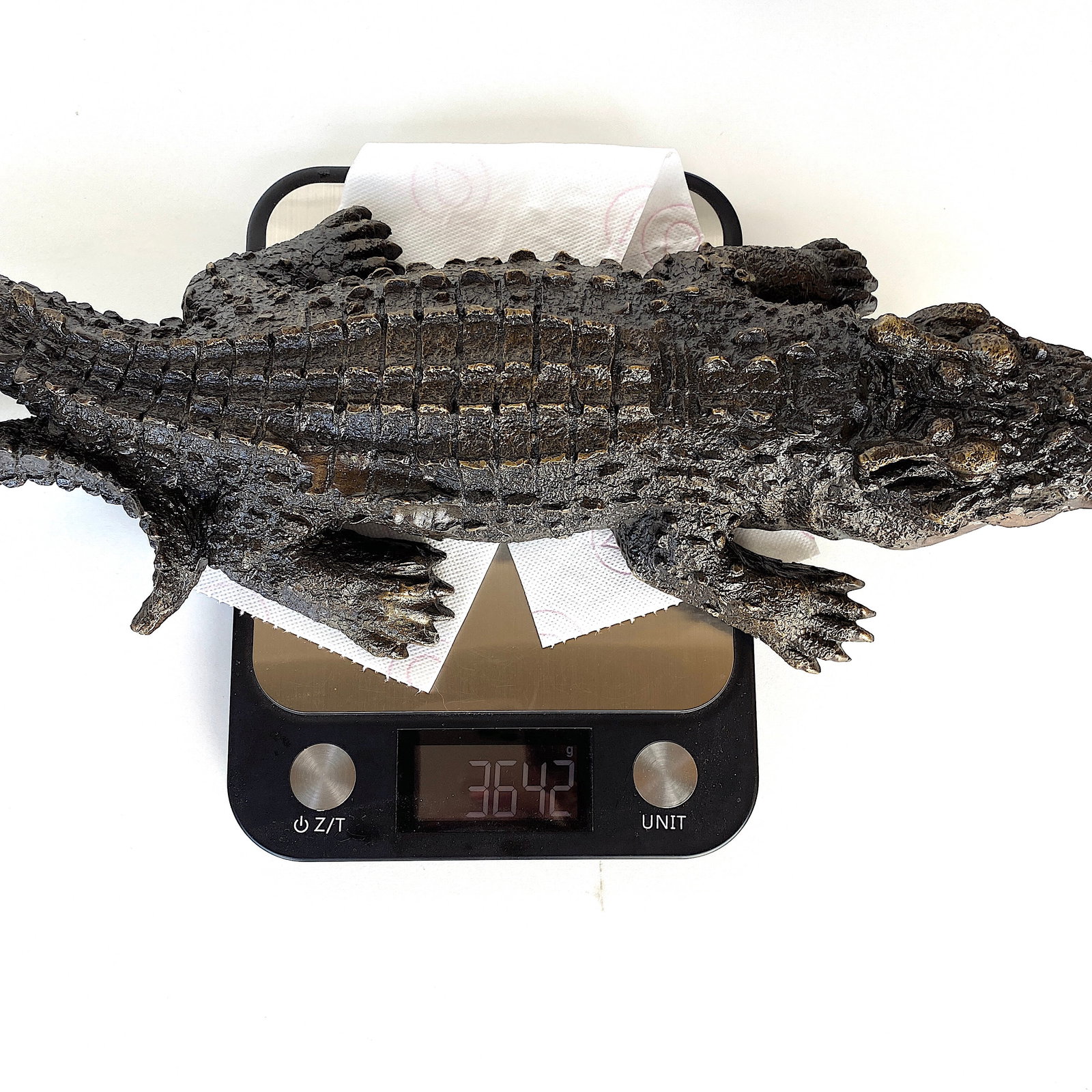 Bronze Aligator - 9