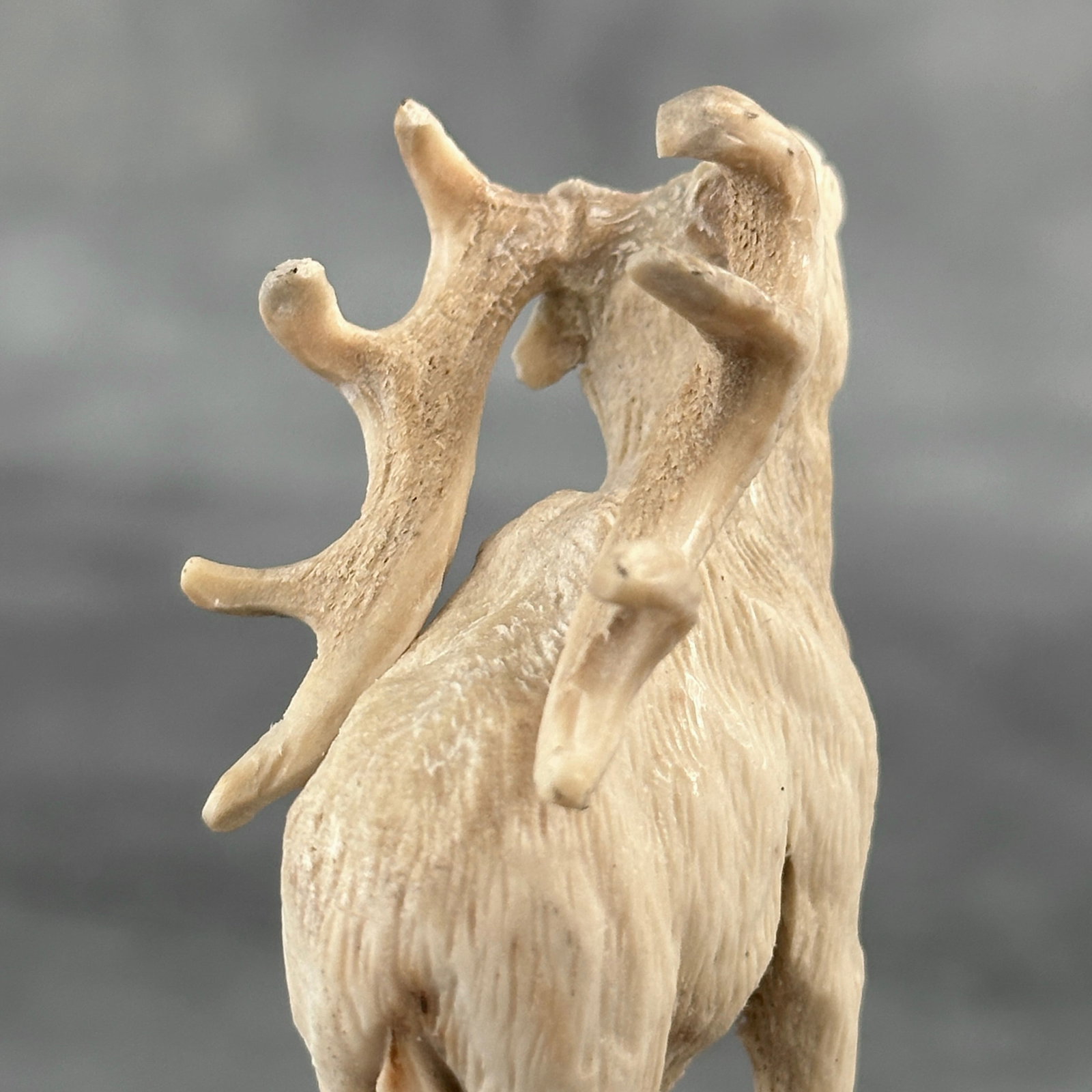 Stunning carved deer antler with stand - Deer - 10