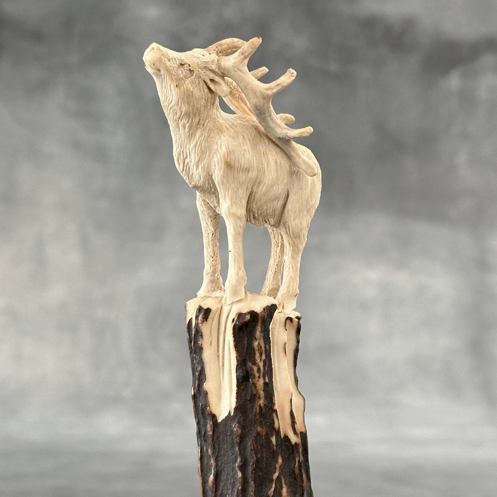 Stunning carved deer antler with stand - Deer (1 of 10)
