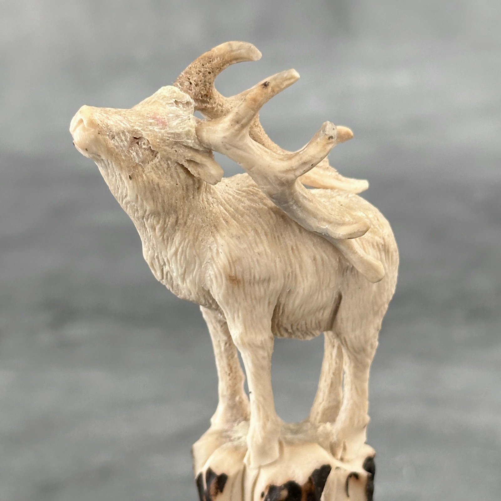 Stunning carved deer antler with stand - Deer - 3