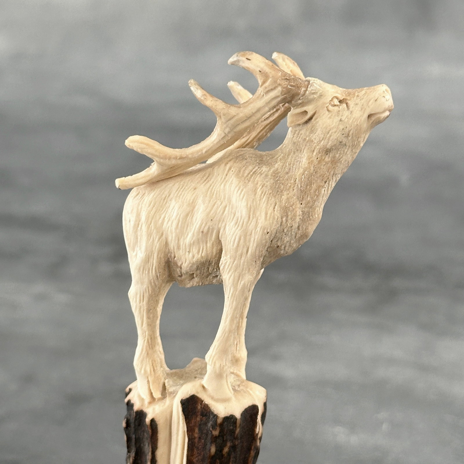 Stunning carved deer antler with stand - Deer - 5