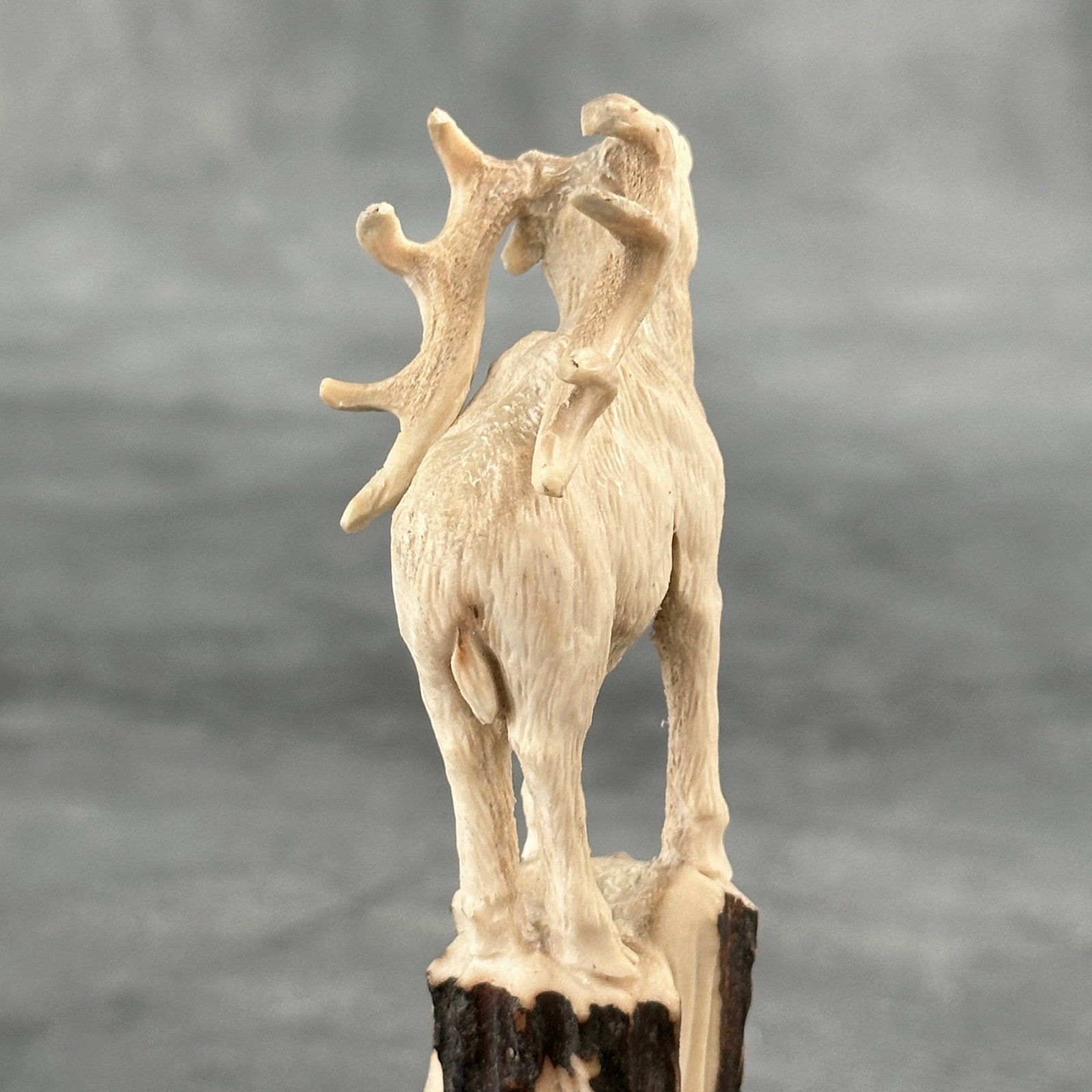 Stunning carved deer antler with stand - Deer - 7