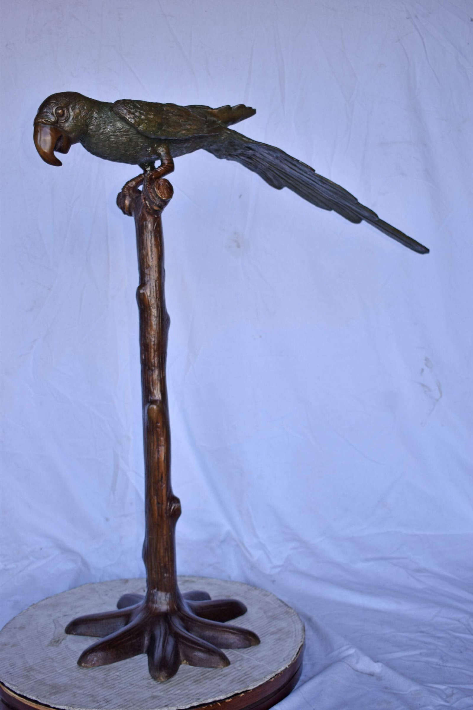 Parrot on a Tree Watching Forward Bronze Statue - Size: 36"L x 15"W x 41"H. - 7
