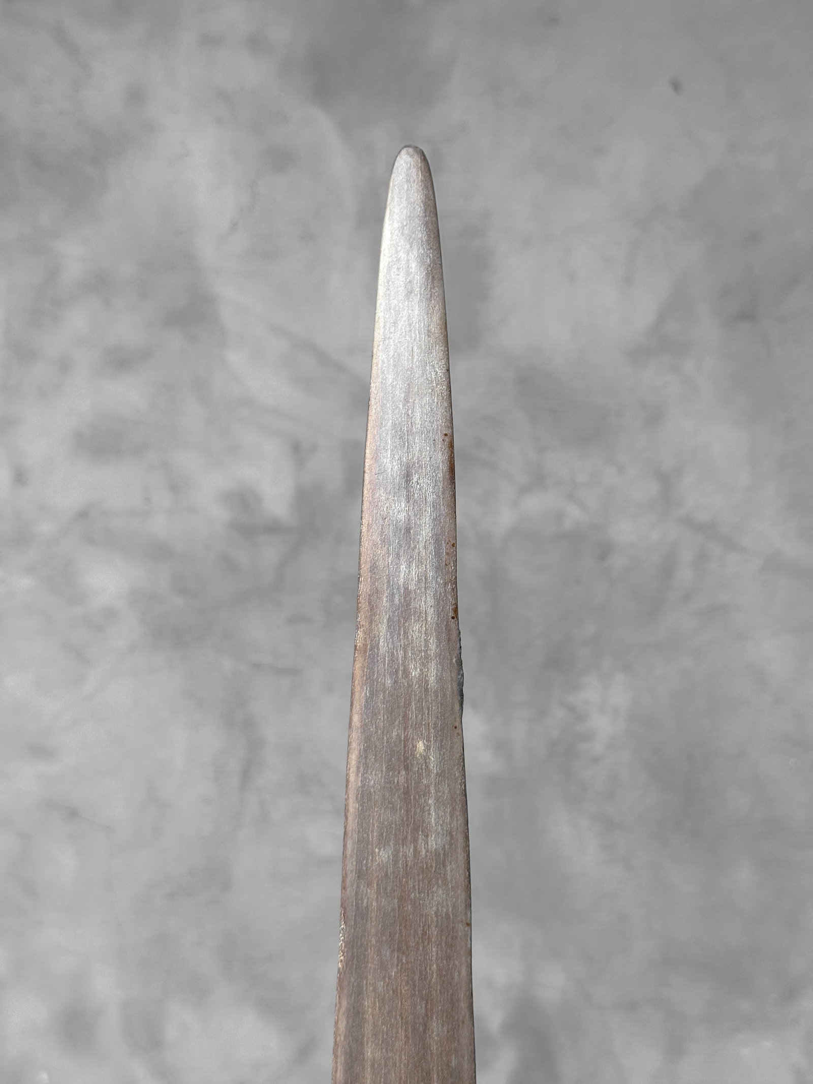 Large carved Swordfish Bill - Rauponga Pattern - 10