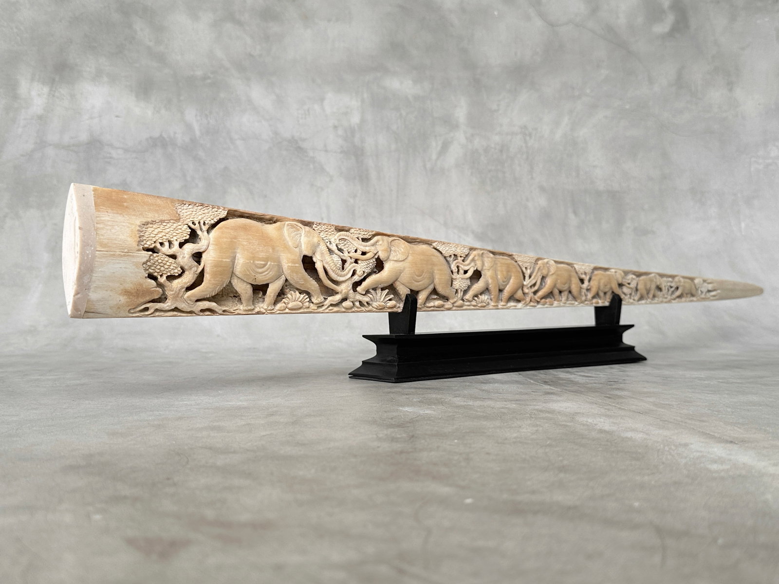 A stunning carved swordfish rostrum - Parade of Savannah elephants - 4