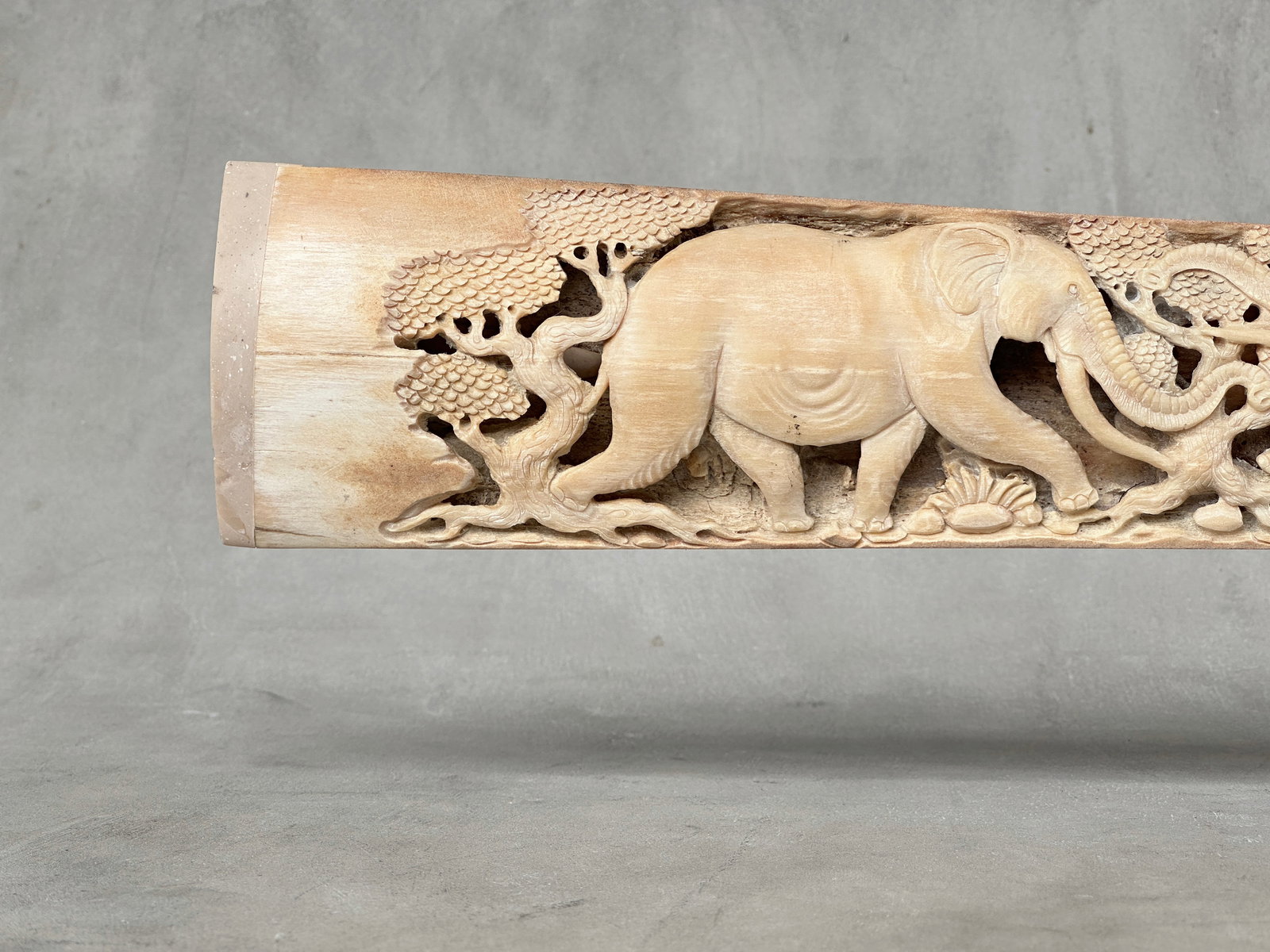 A stunning carved swordfish rostrum - Parade of Savannah elephants - 5