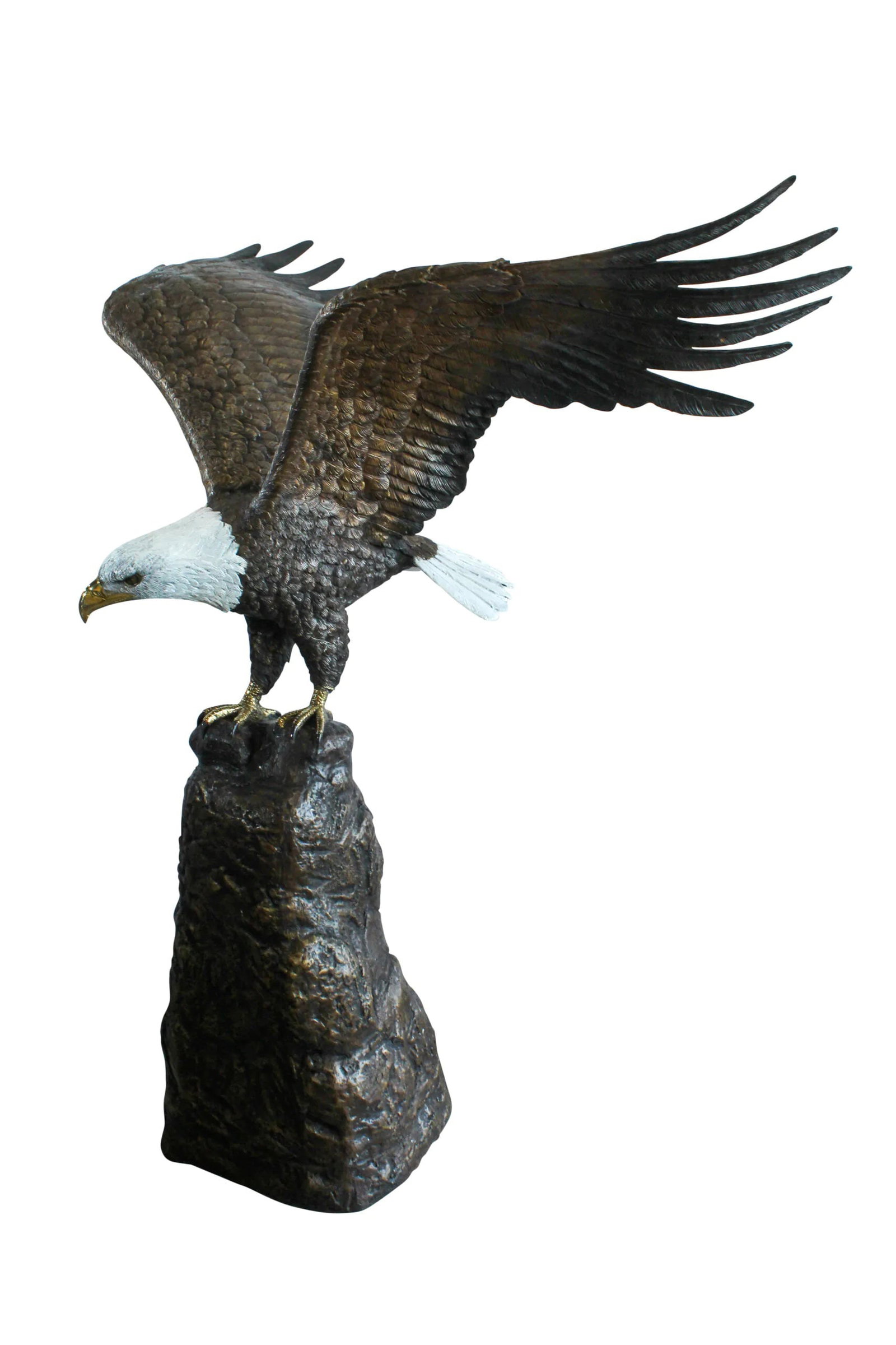 Bald Eagle Bronze Statue with White Head and His Wings Spread 51" x 36" x 58"H: Title:Bald Eagle Bronze Statue with White Head and His Wings Spread 51" x 36" x 58"H Description:This striking bronze statue features a bald eagle with a distinctive white head, captured in mid-descen
