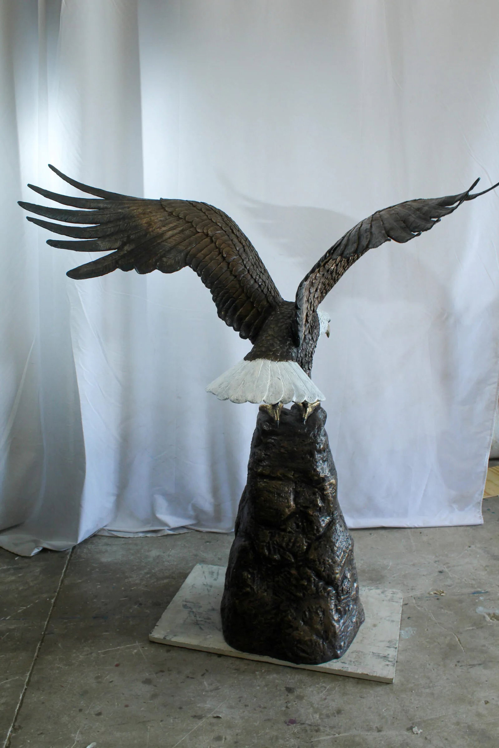 Bald Eagle Bronze Statue with White Head and His Wings Spread 51" x 36" x 58"H - 5