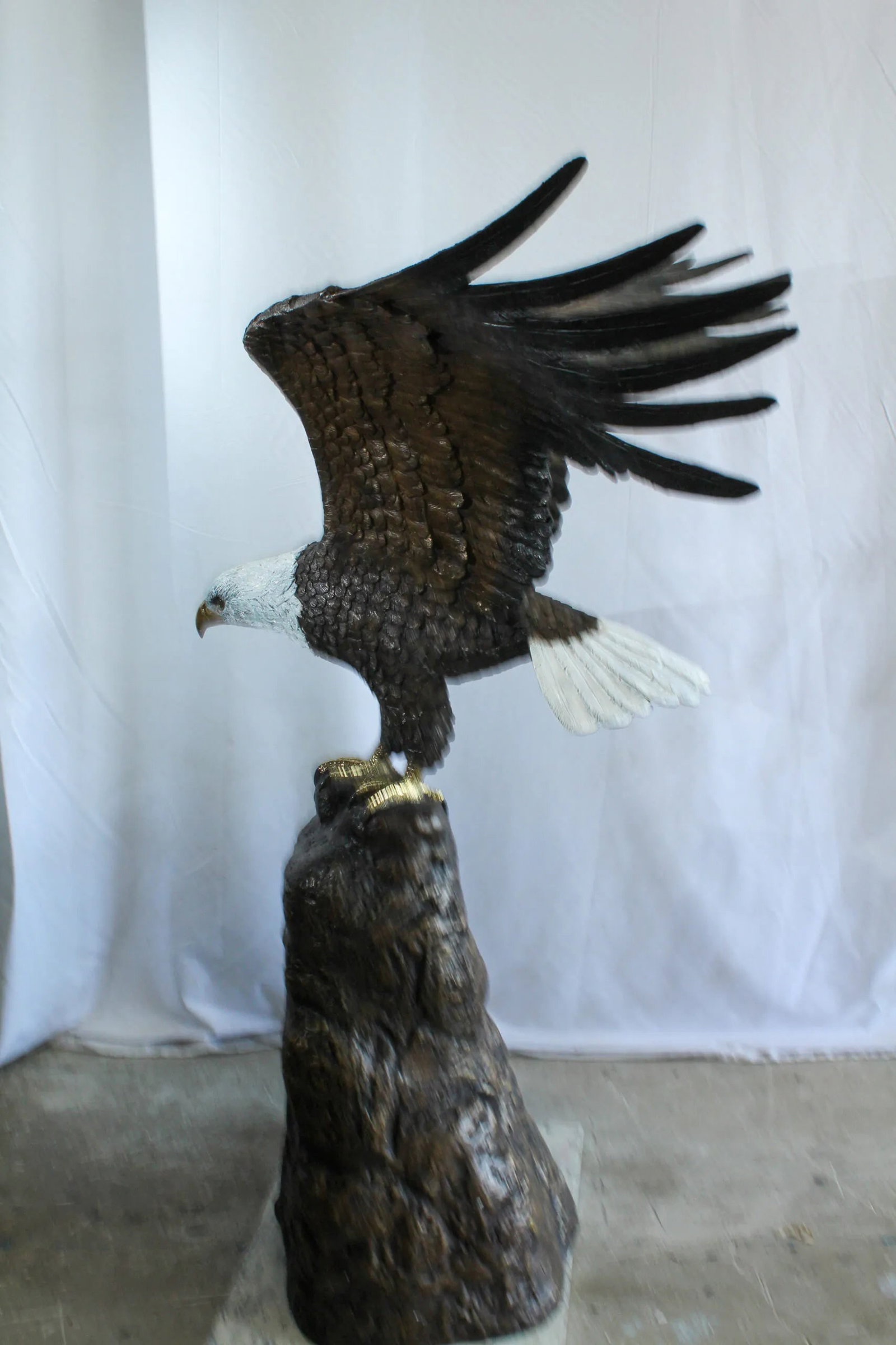 Bald Eagle Bronze Statue with White Head and His Wings Spread 51" x 36" x 58"H - 7