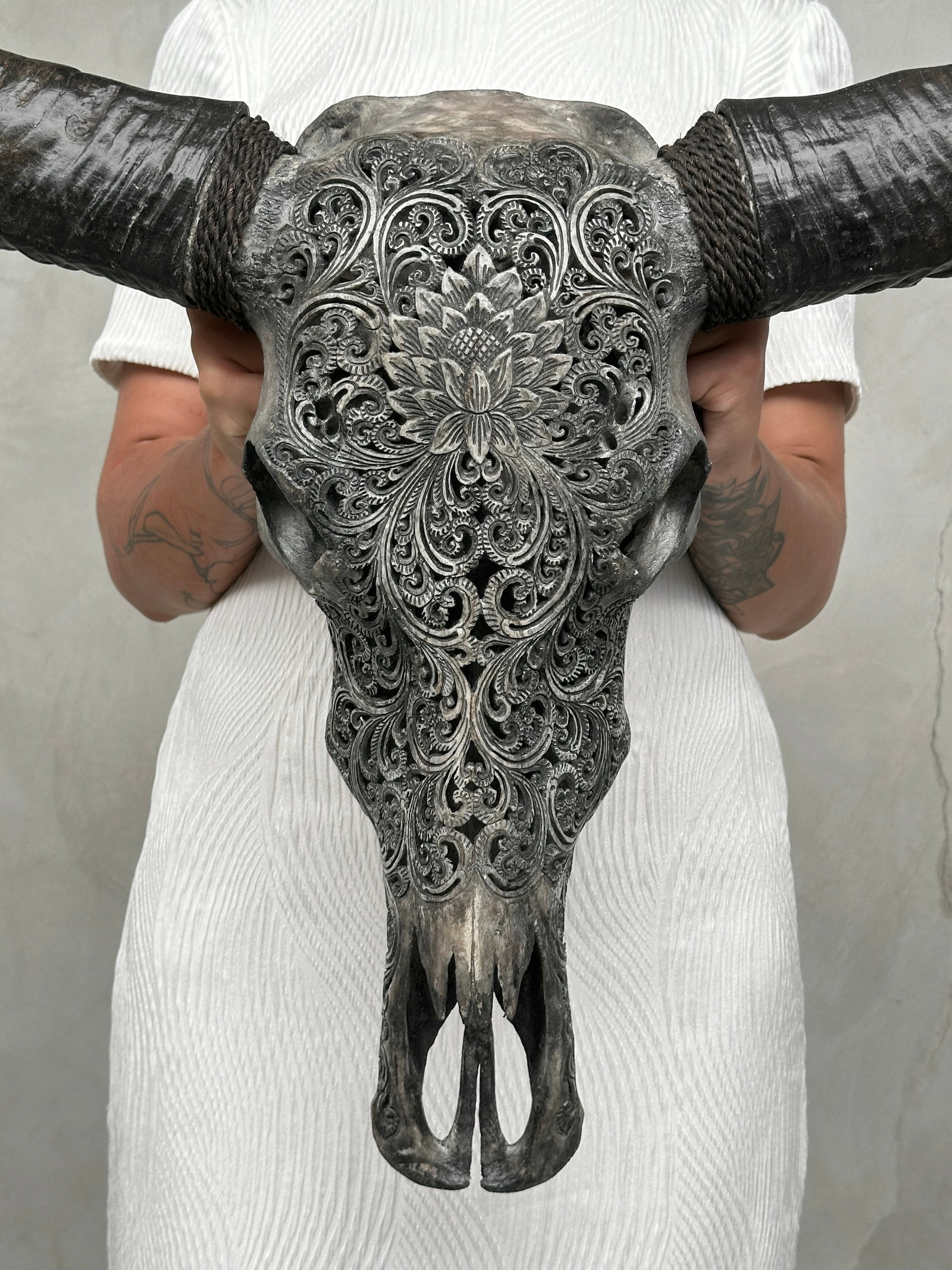 Grey water buffalo skull - Lotus motif - 2