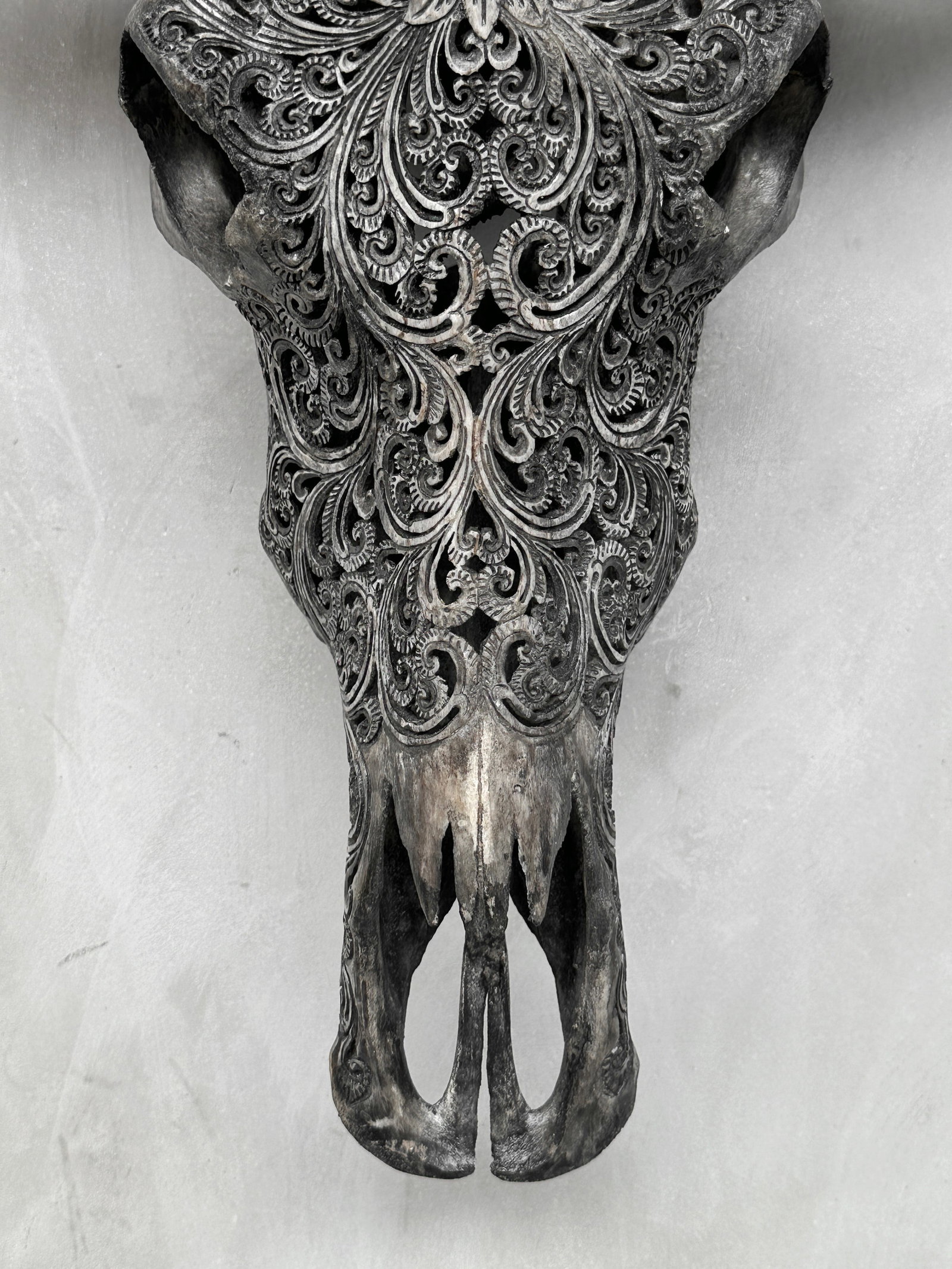 Grey water buffalo skull - Lotus motif - 5