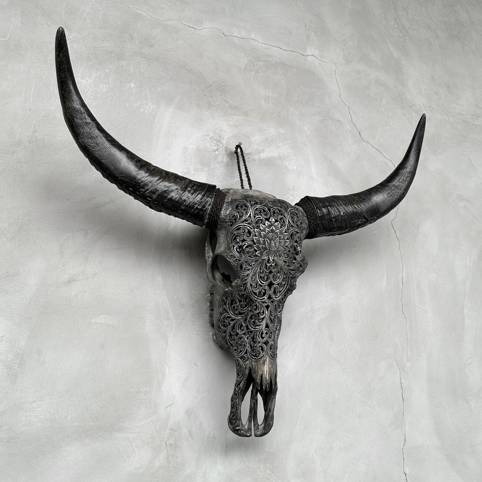 Grey water buffalo skull - Lotus motif - 6