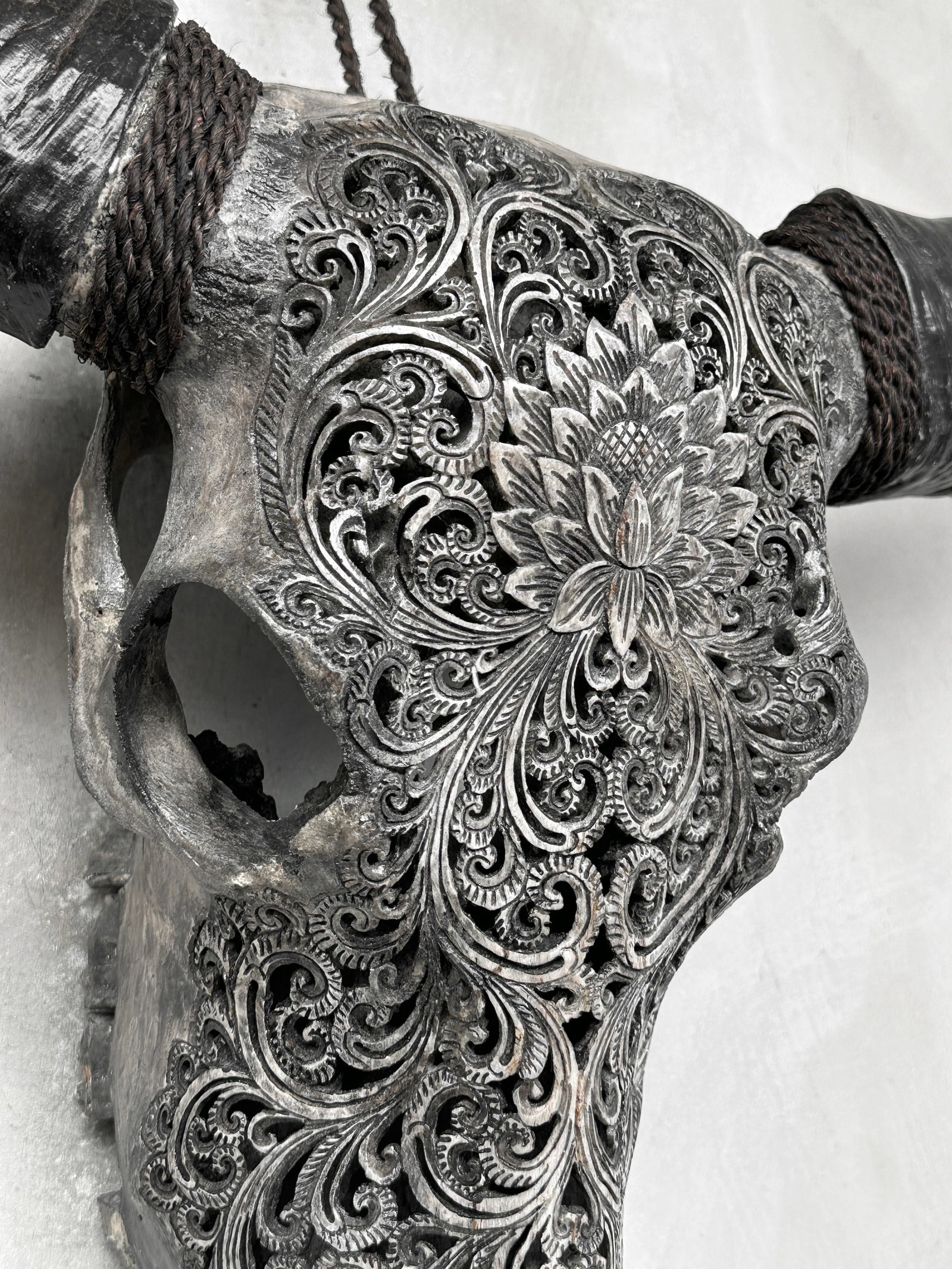 Grey water buffalo skull - Lotus motif - 7