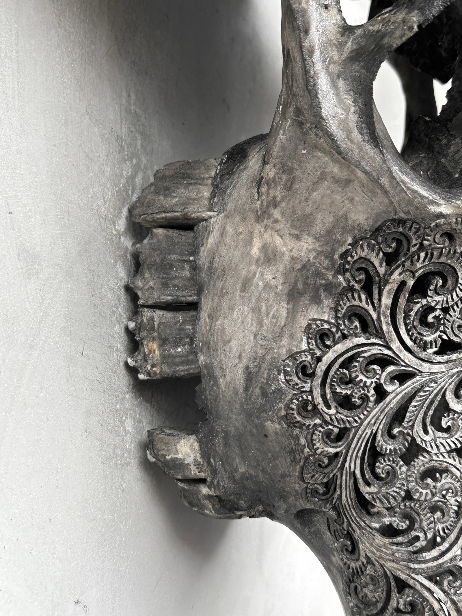 Grey water buffalo skull - Lotus motif - 8