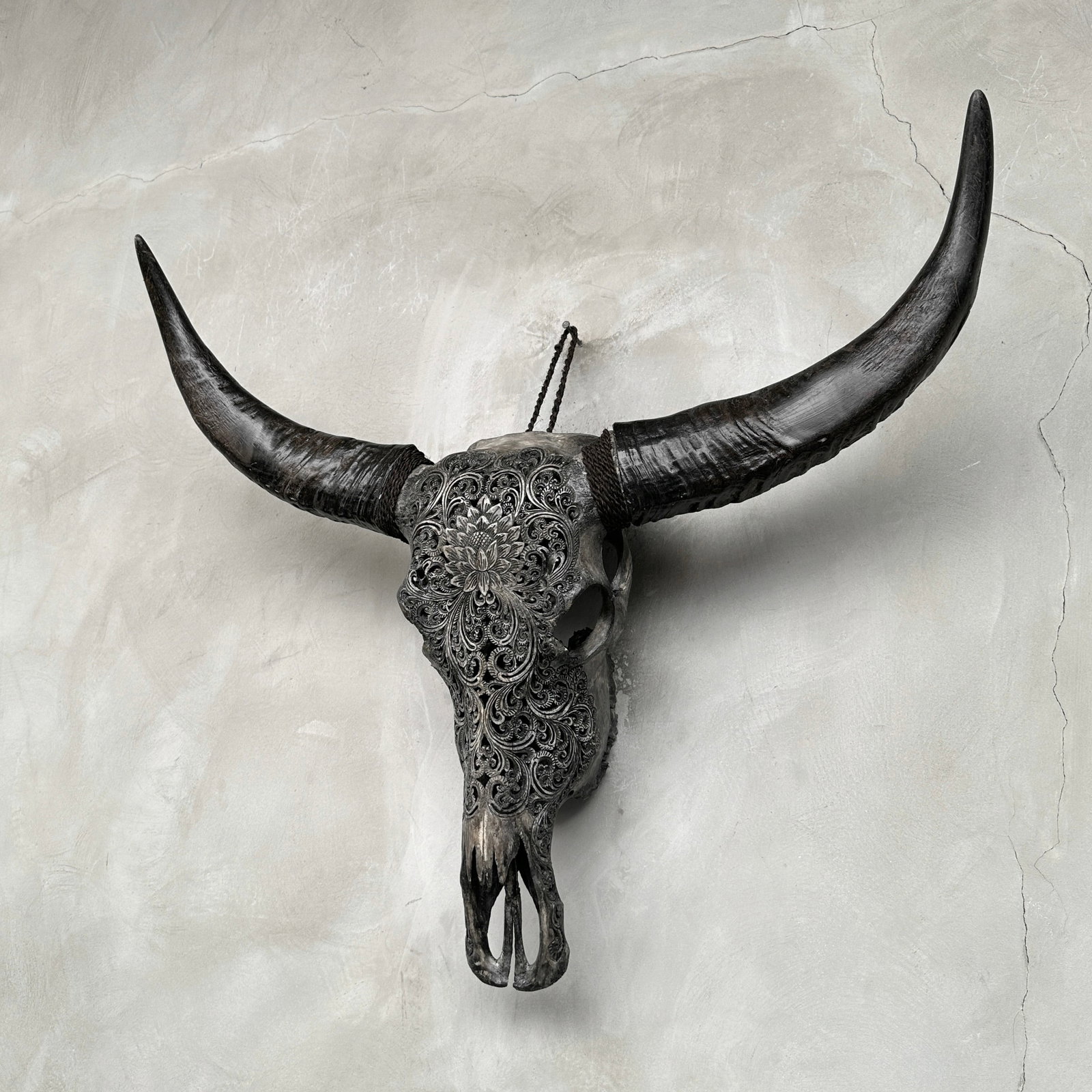 Grey water buffalo skull - Lotus motif - 9