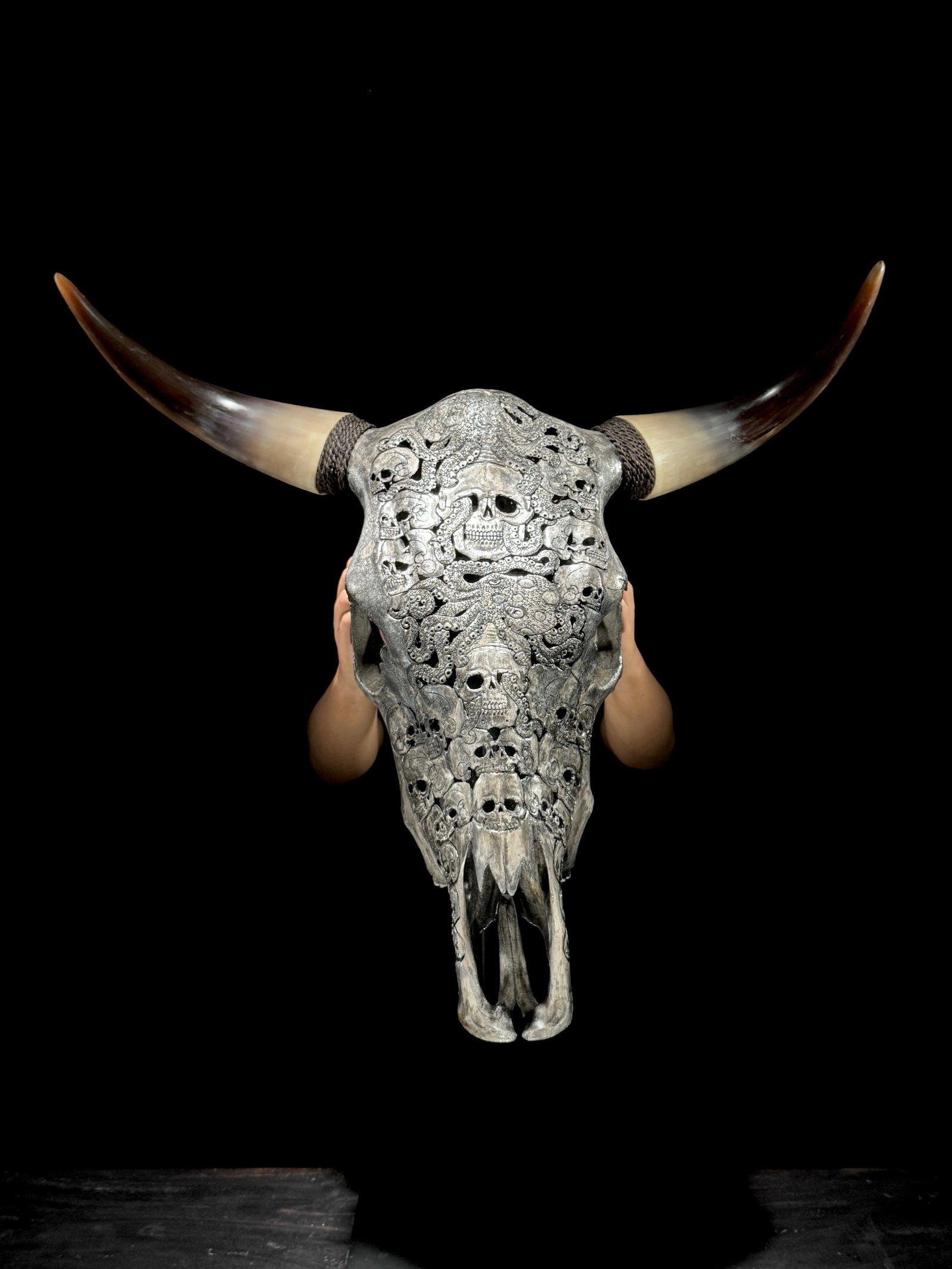 Stunning carved grey bulls' skull - Human skulls octopus motif (1 of 10)