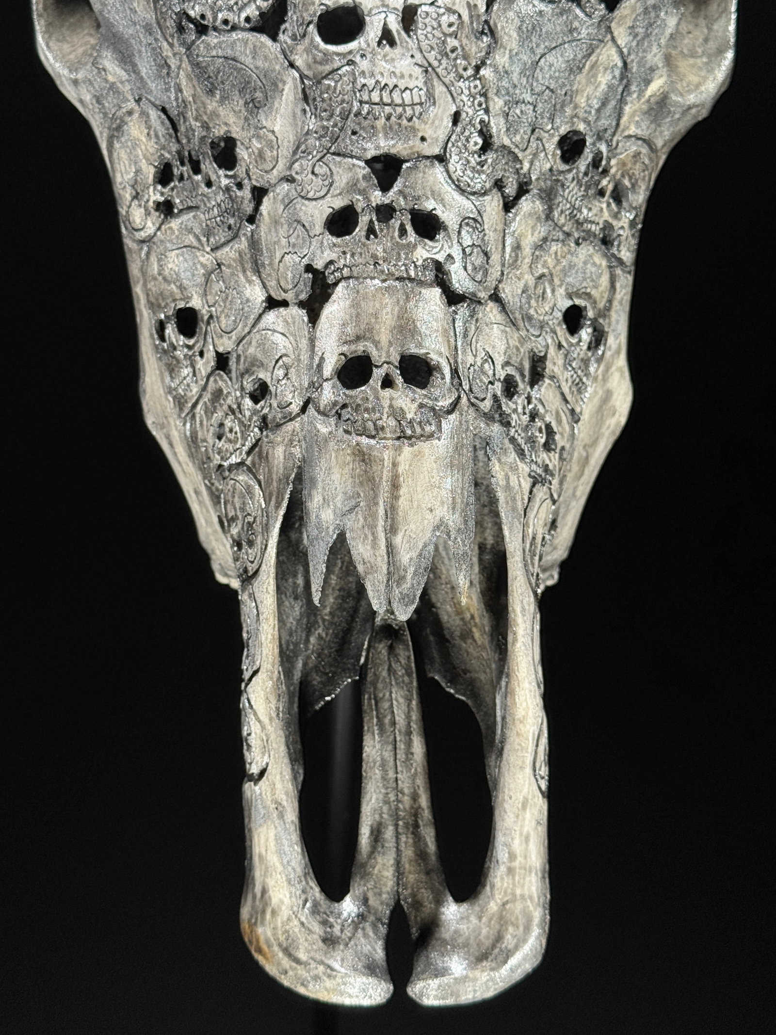 Stunning carved grey bulls' skull - Human skulls octopus motif - 3