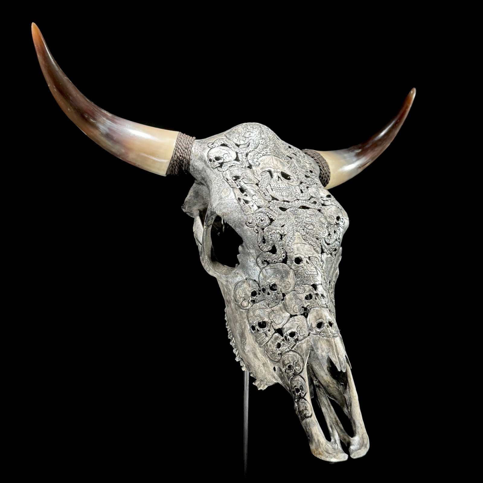 Stunning carved grey bulls' skull - Human skulls octopus motif - 4