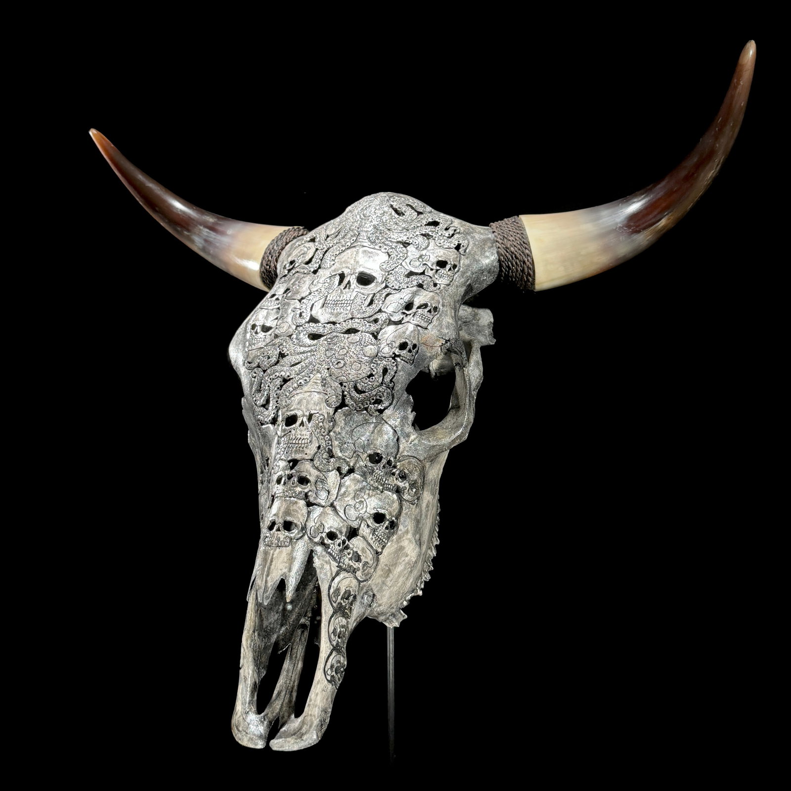 Stunning carved grey bulls' skull - Human skulls octopus motif - 7