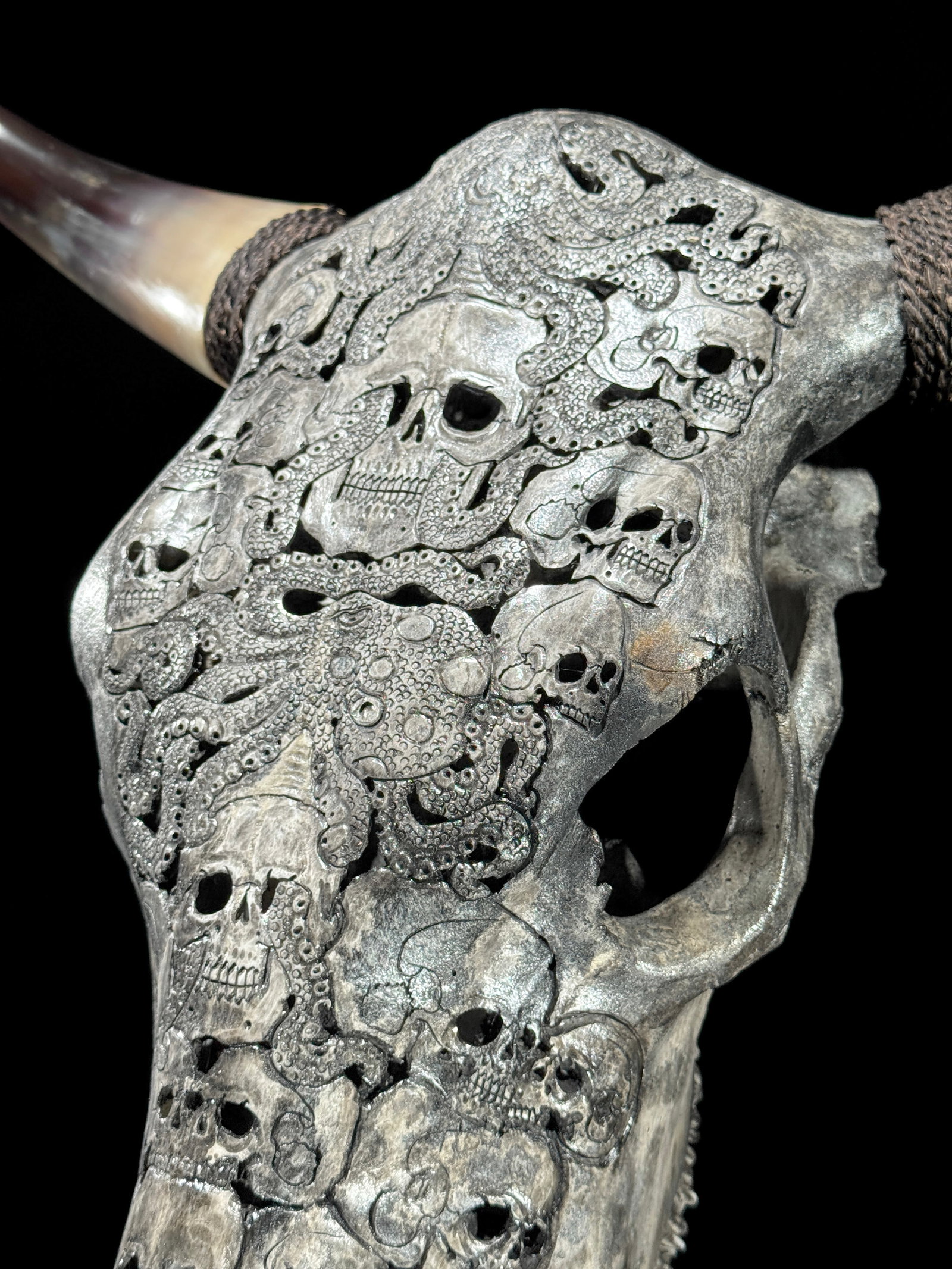 Stunning carved grey bulls' skull - Human skulls octopus motif - 8