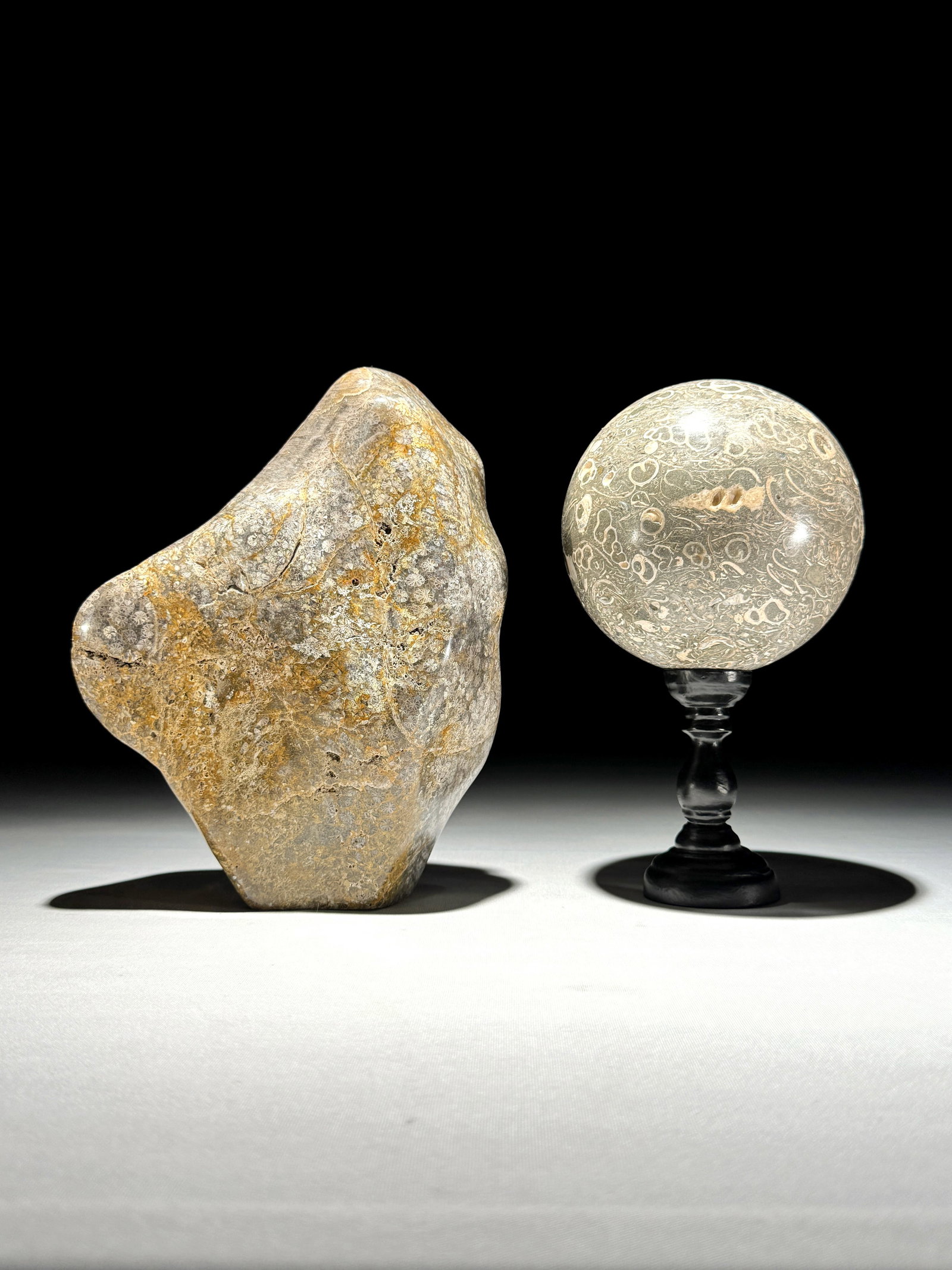 Wonderful set of a coral freeform and a turritella spere: Title: Wonderful set of a coral freeform and a turritella spere Maker:Unknown Origin: Indonesia Date/Period:2026 Materials:Coral, Turritella, resin Dimensions:Freeform height: 19.2 cm / 7.5 inches