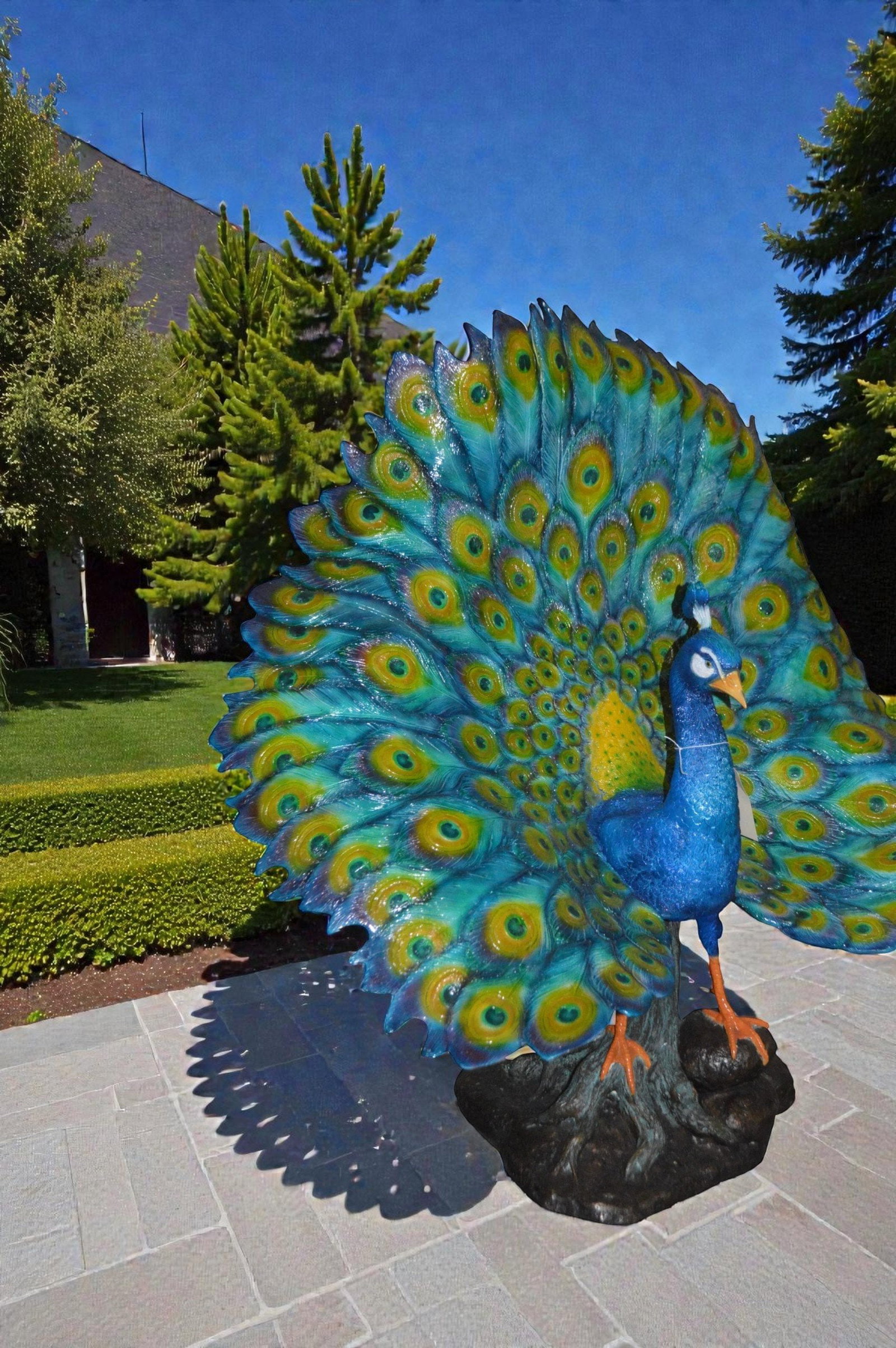 Colorful Peacock Bronze Statue - Size: 24"L x 39"W x 35"H. - 4