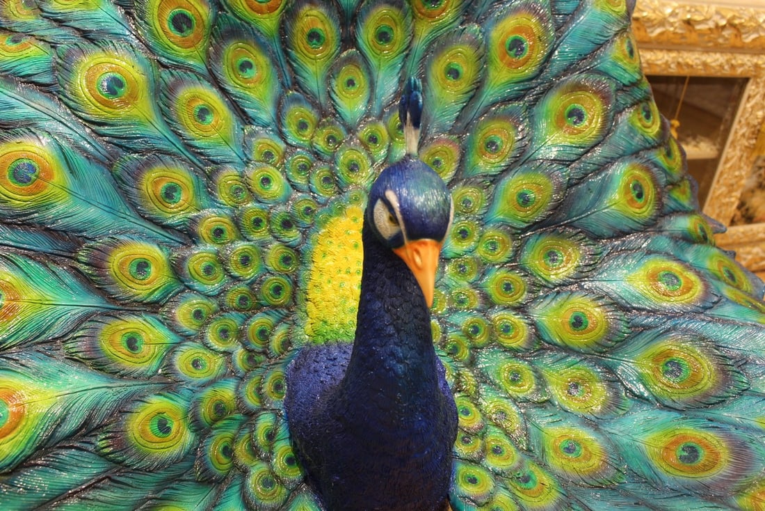 Colorful Peacock Bronze Statue - Size: 24"L x 39"W x 35"H. - 8