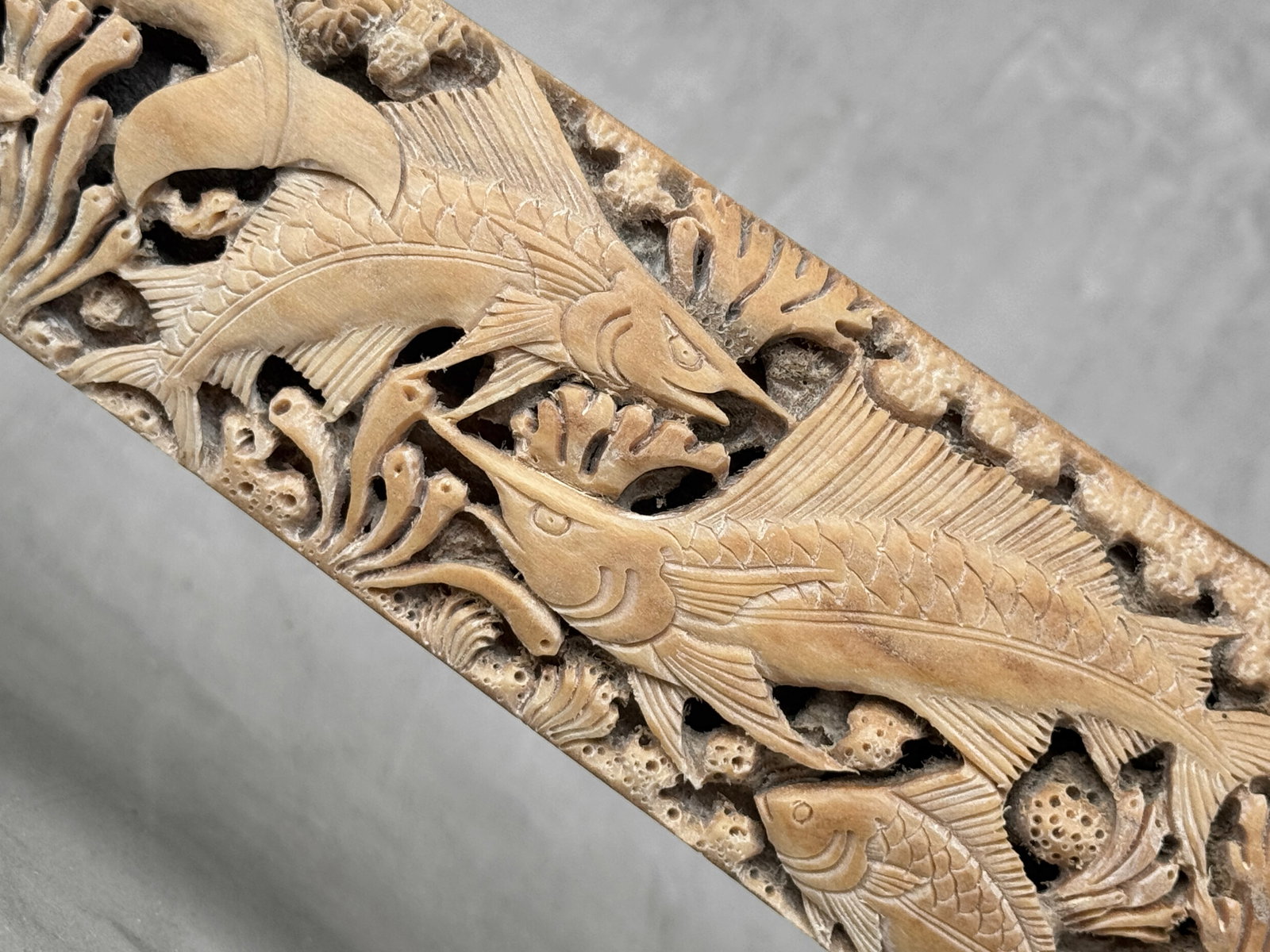 Wonderful engraved Swordfish rostrum - Marine motif - 3