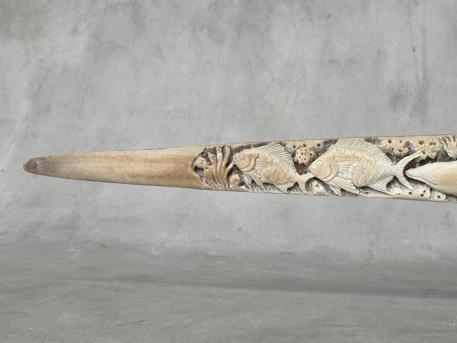 Wonderful engraved Swordfish rostrum - Marine motif - 5